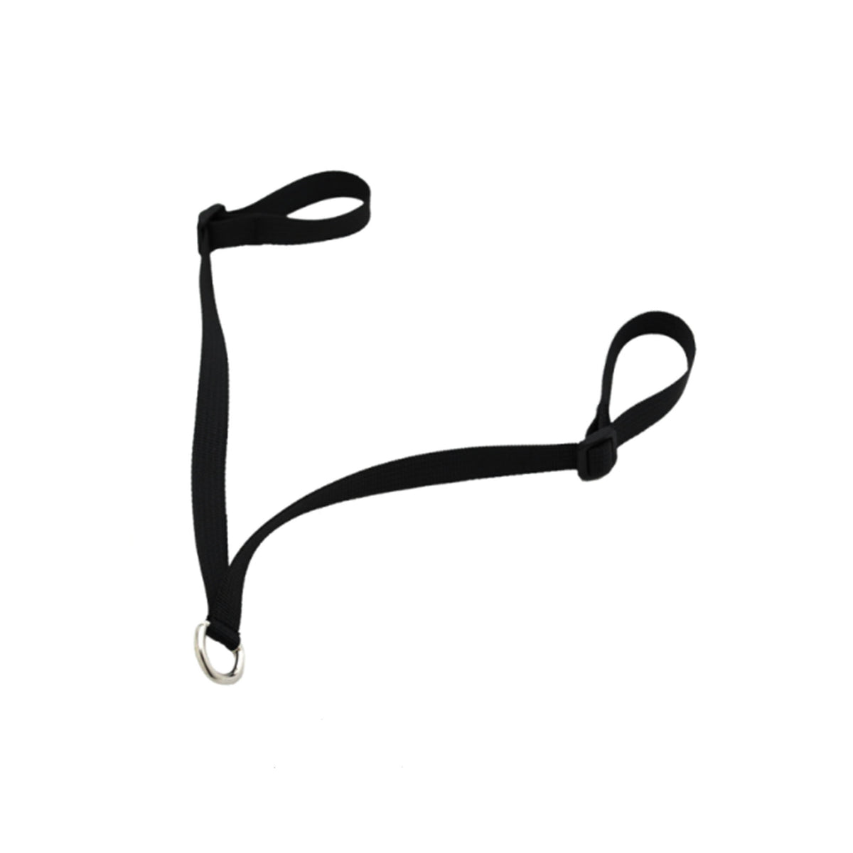 AC.LY.EQLY-BK-STD-BLACK.jpg