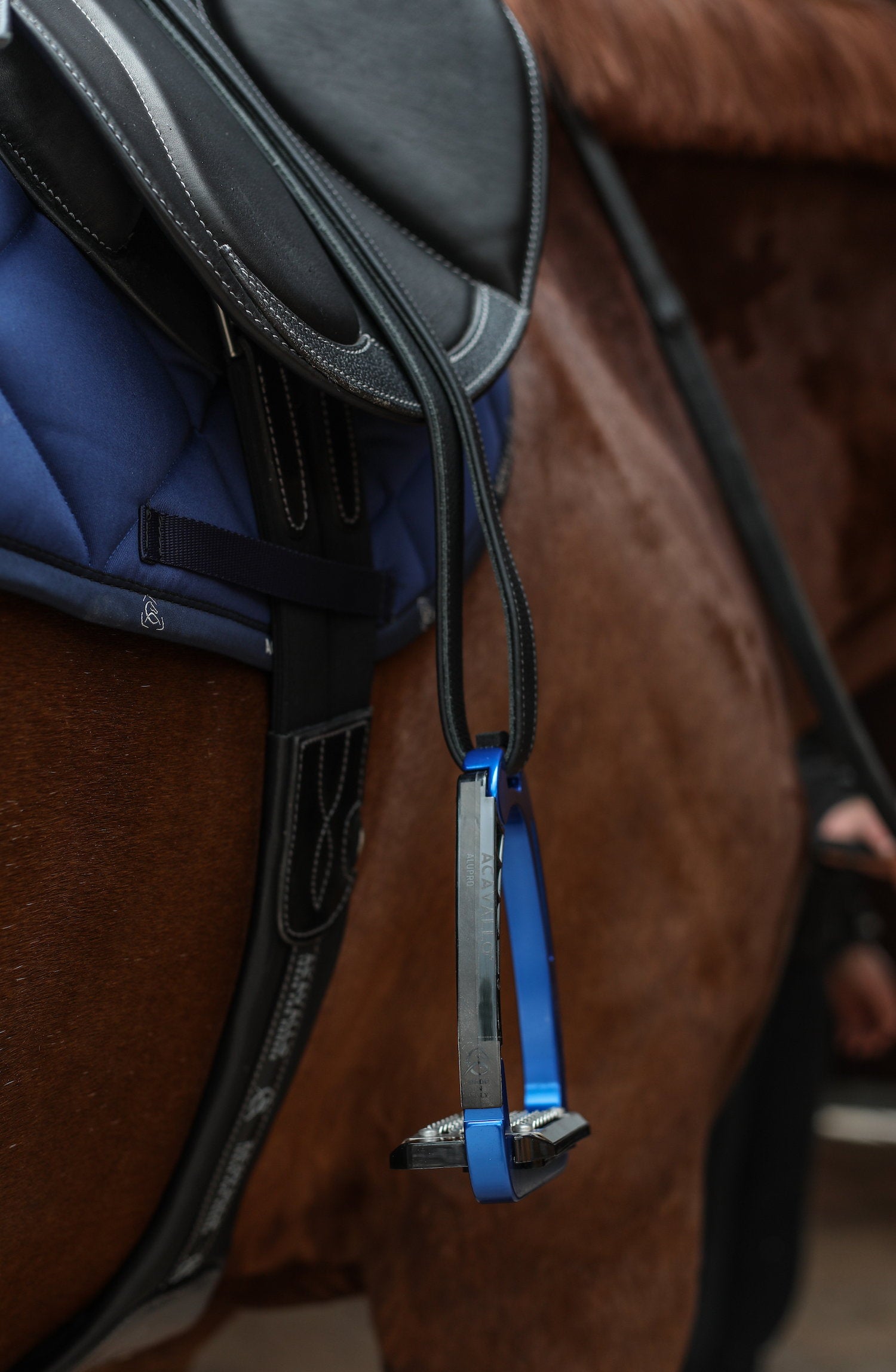 AC607-BLUE_2.jpg