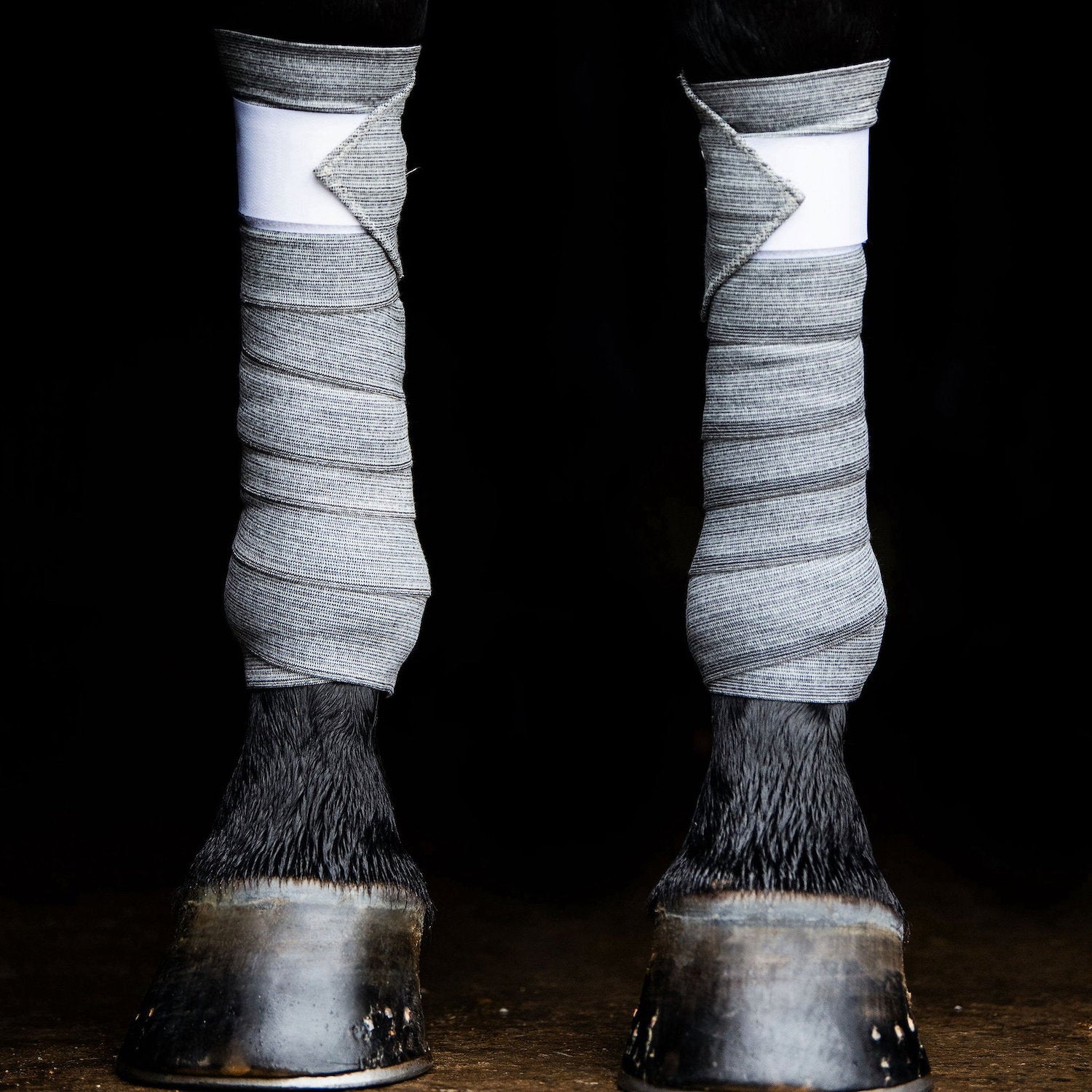 EBW33-BLACK.jpg
