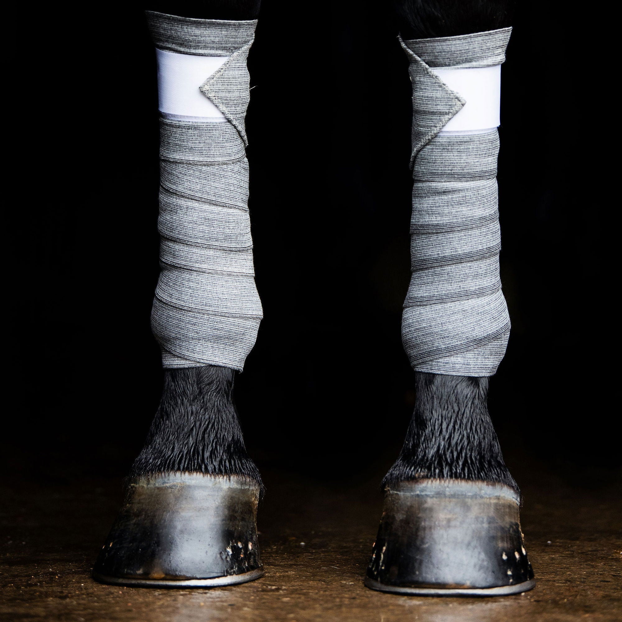 EBW55-GREY.jpg
