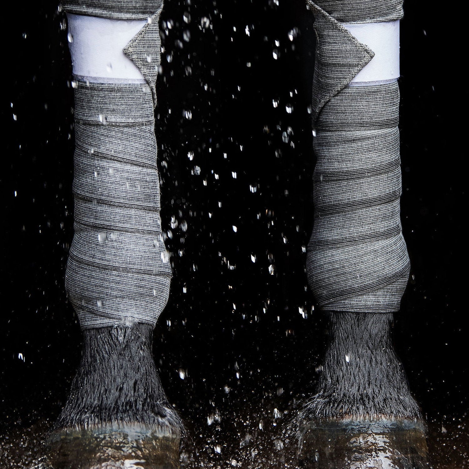 EBW55-GREY_1.jpg