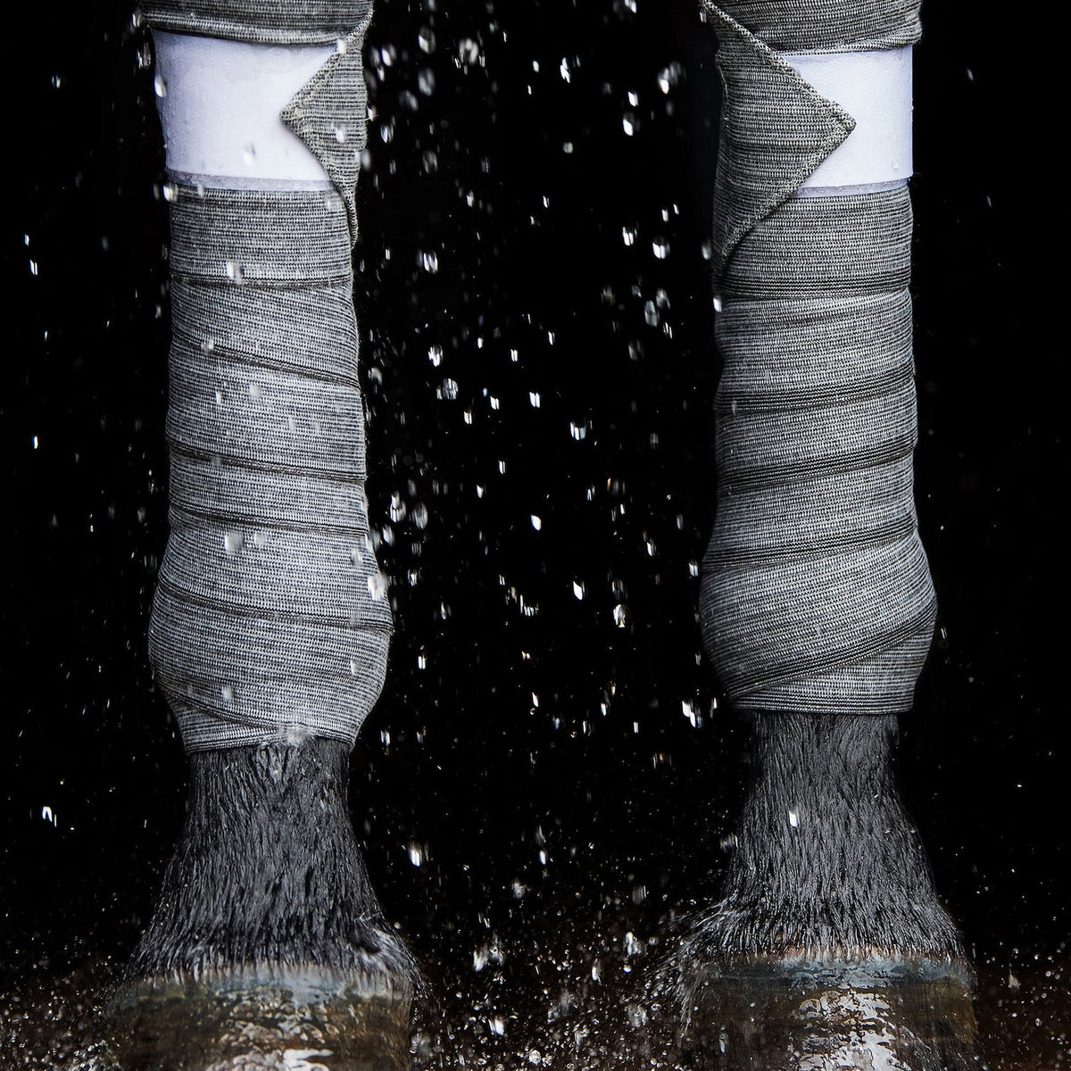EBW55-GREY_1.jpg