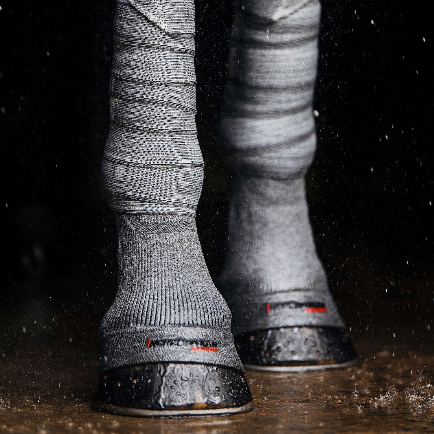 EBW55-GREY_3.jpg