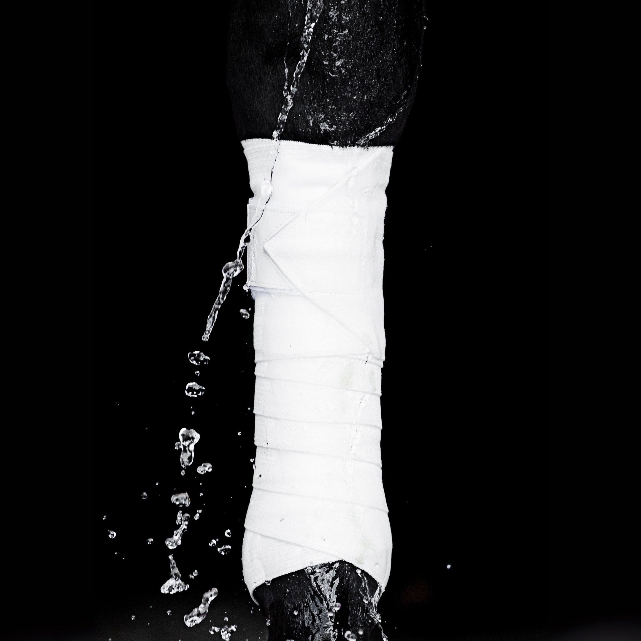 EBW55-WHITE_2.jpg