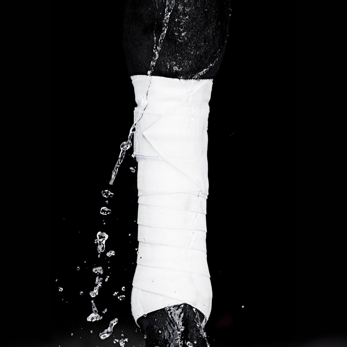 EBW55-WHITE_2.jpg