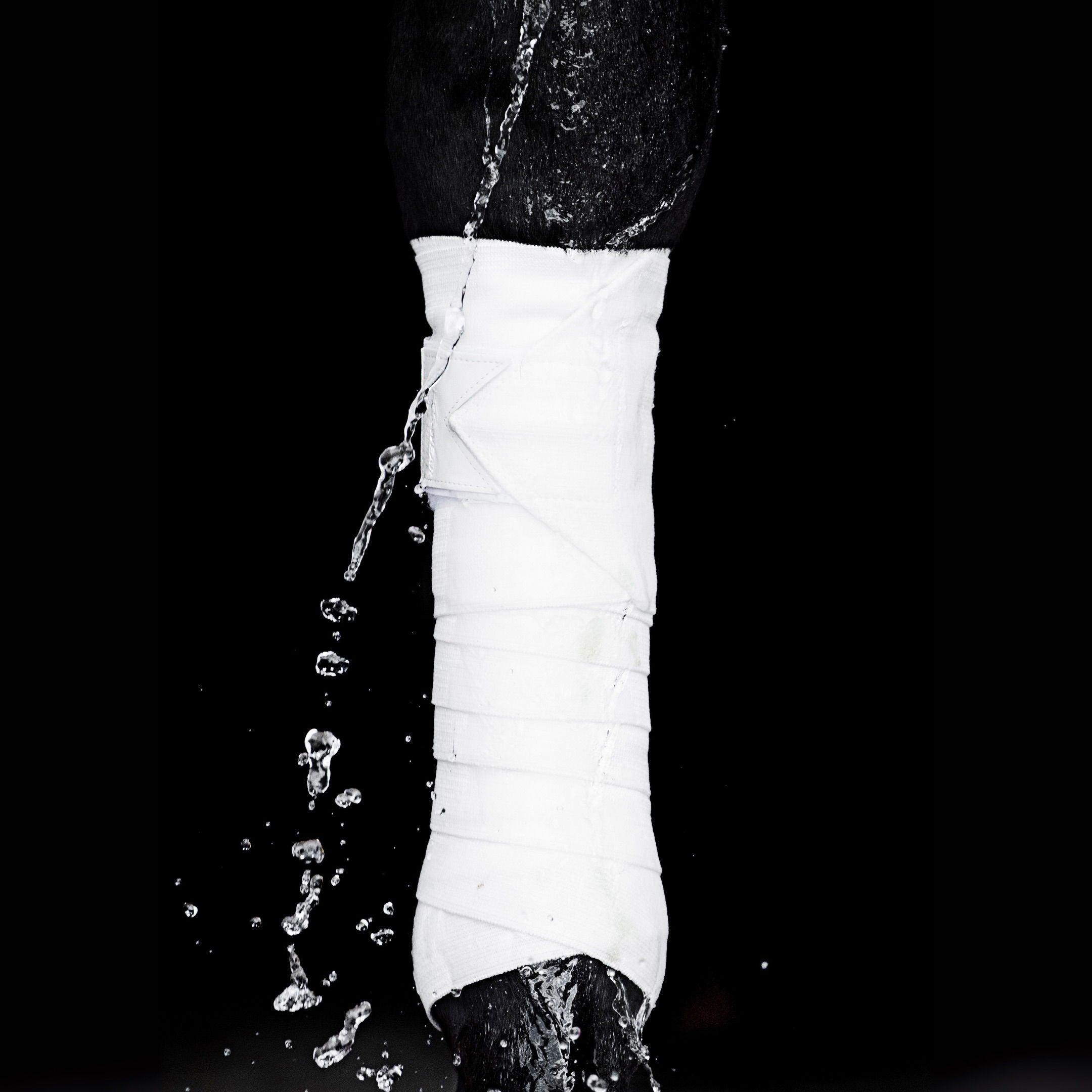 EBW55-WHITE_2.jpg