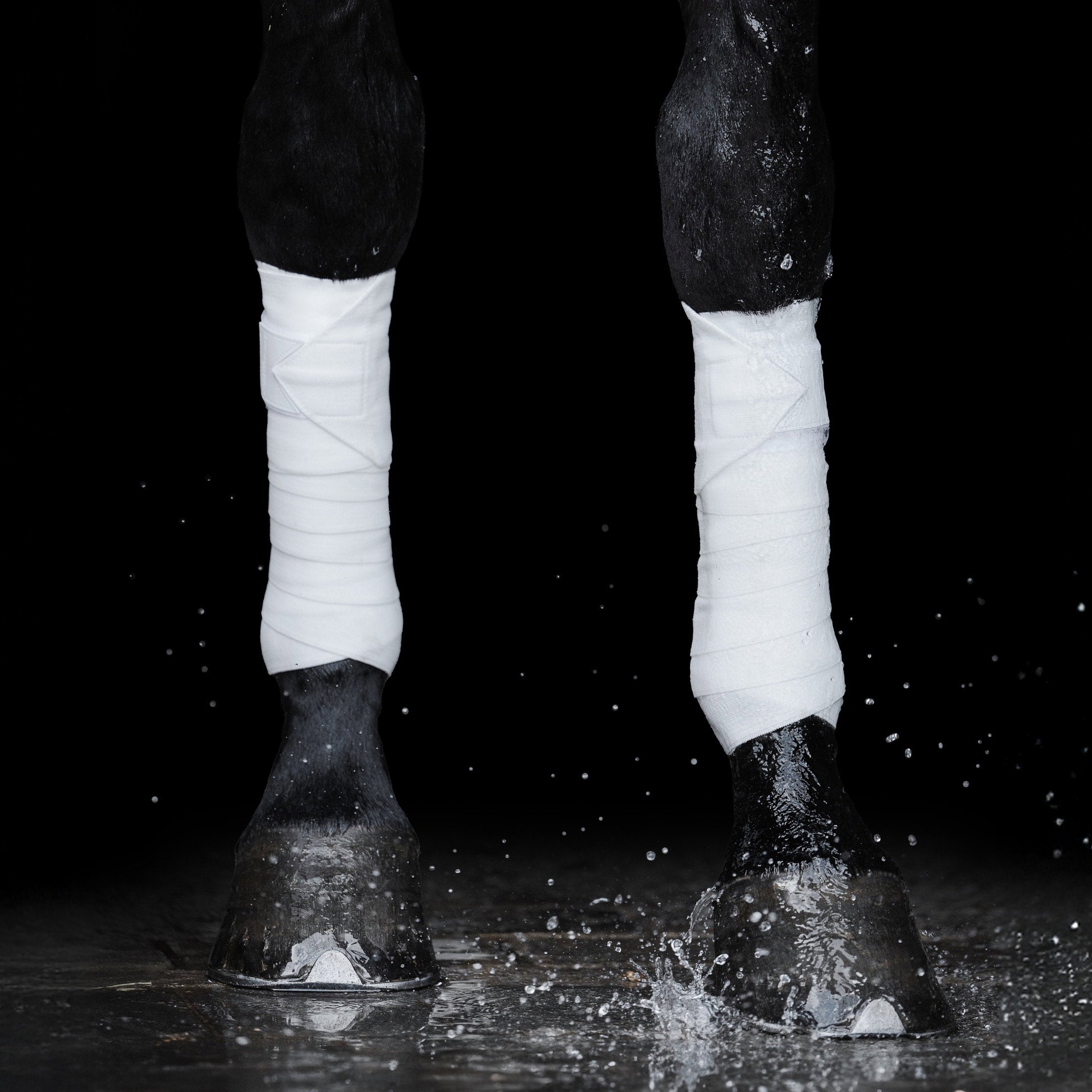 EBW55-WHITE_4.jpg