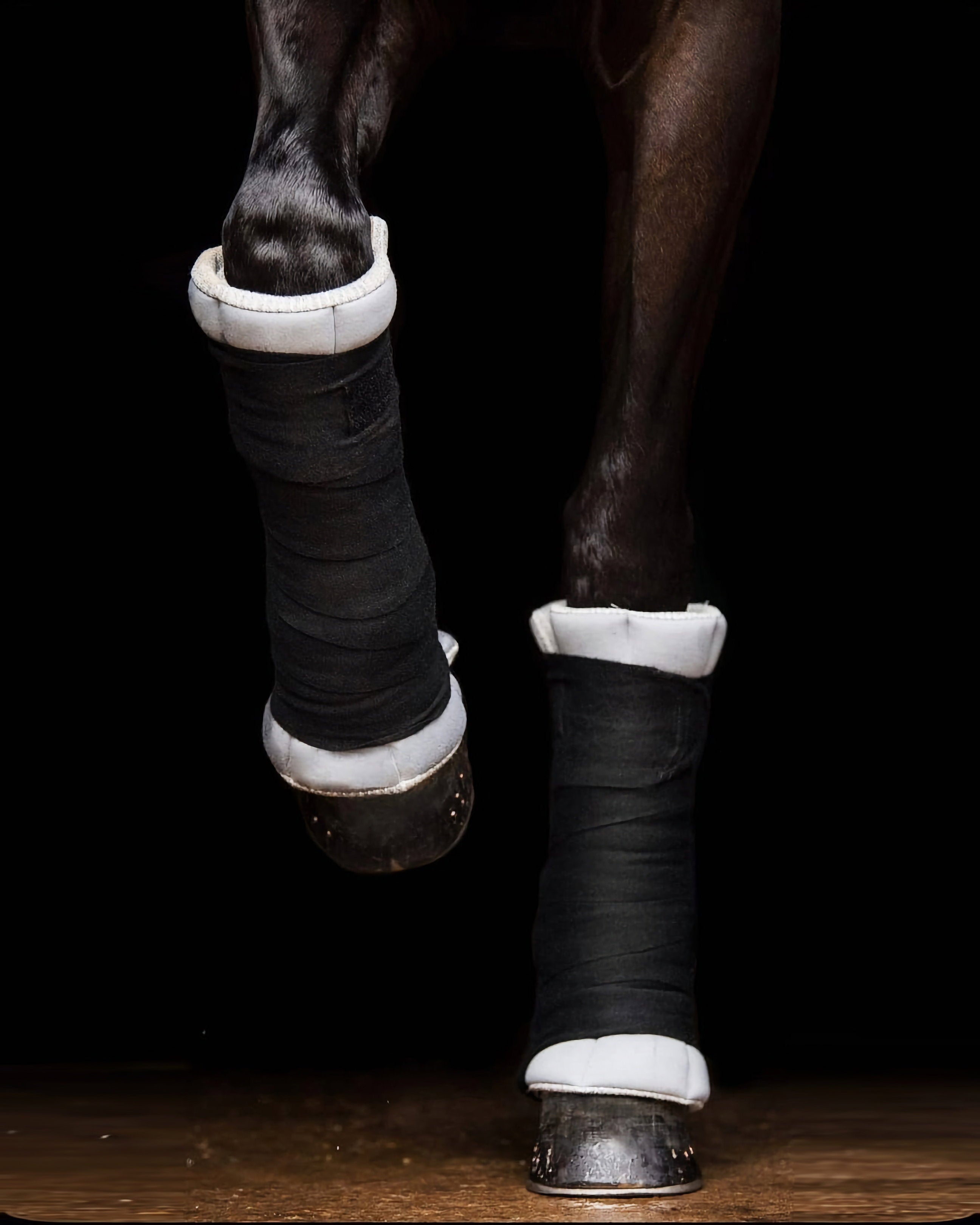 EN102-GREY.jpg