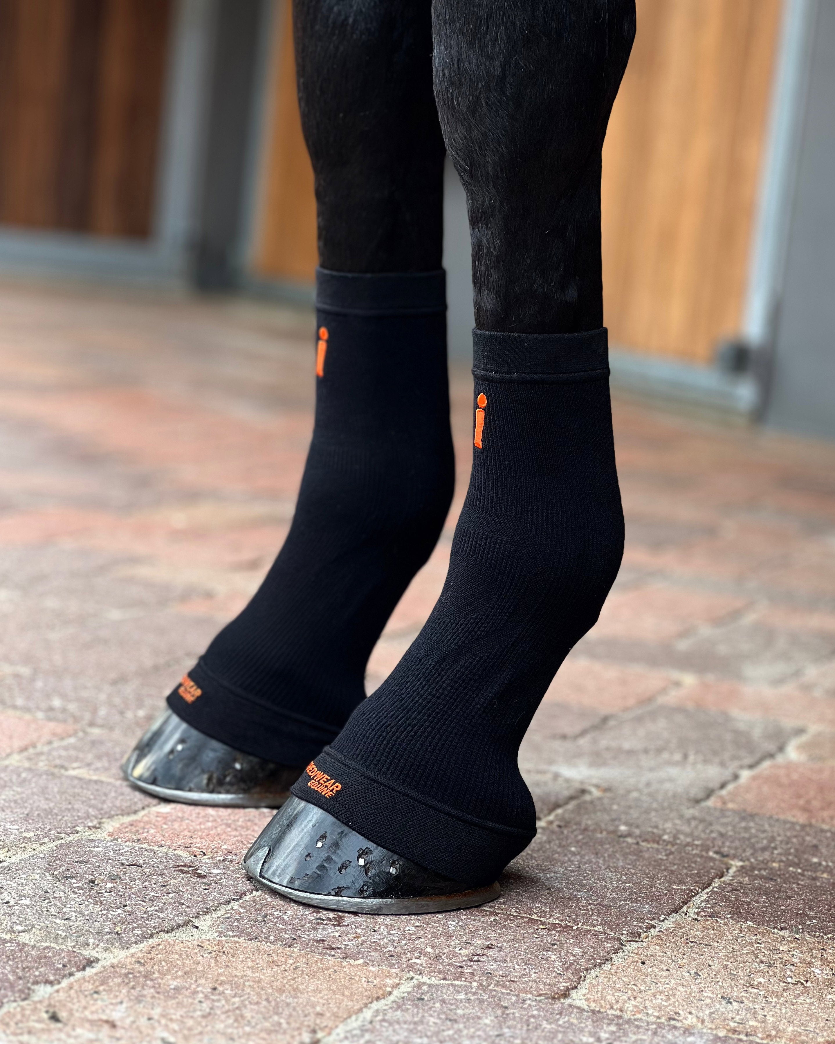 ES101-BLK.jpg