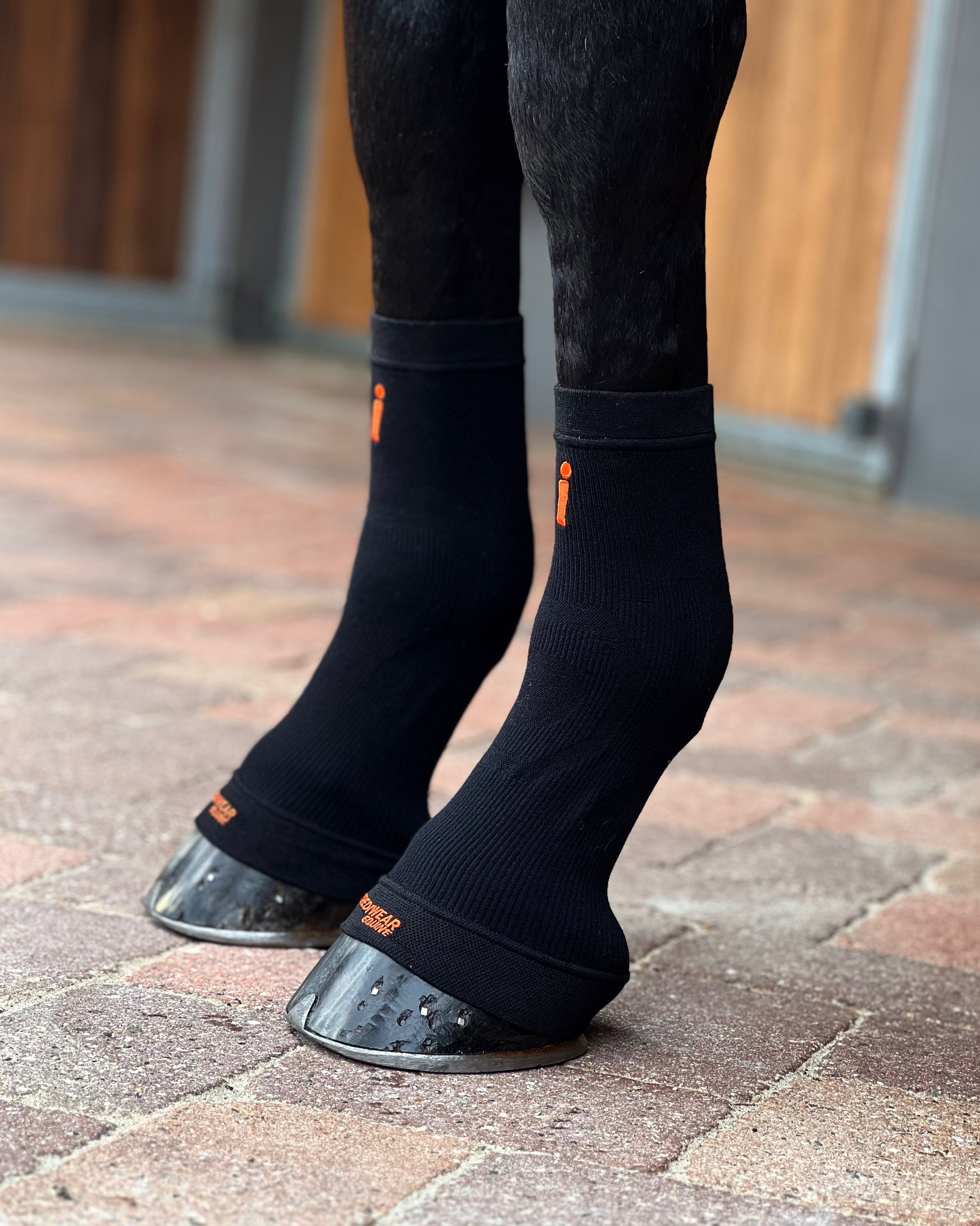 ES101-BLK.jpg