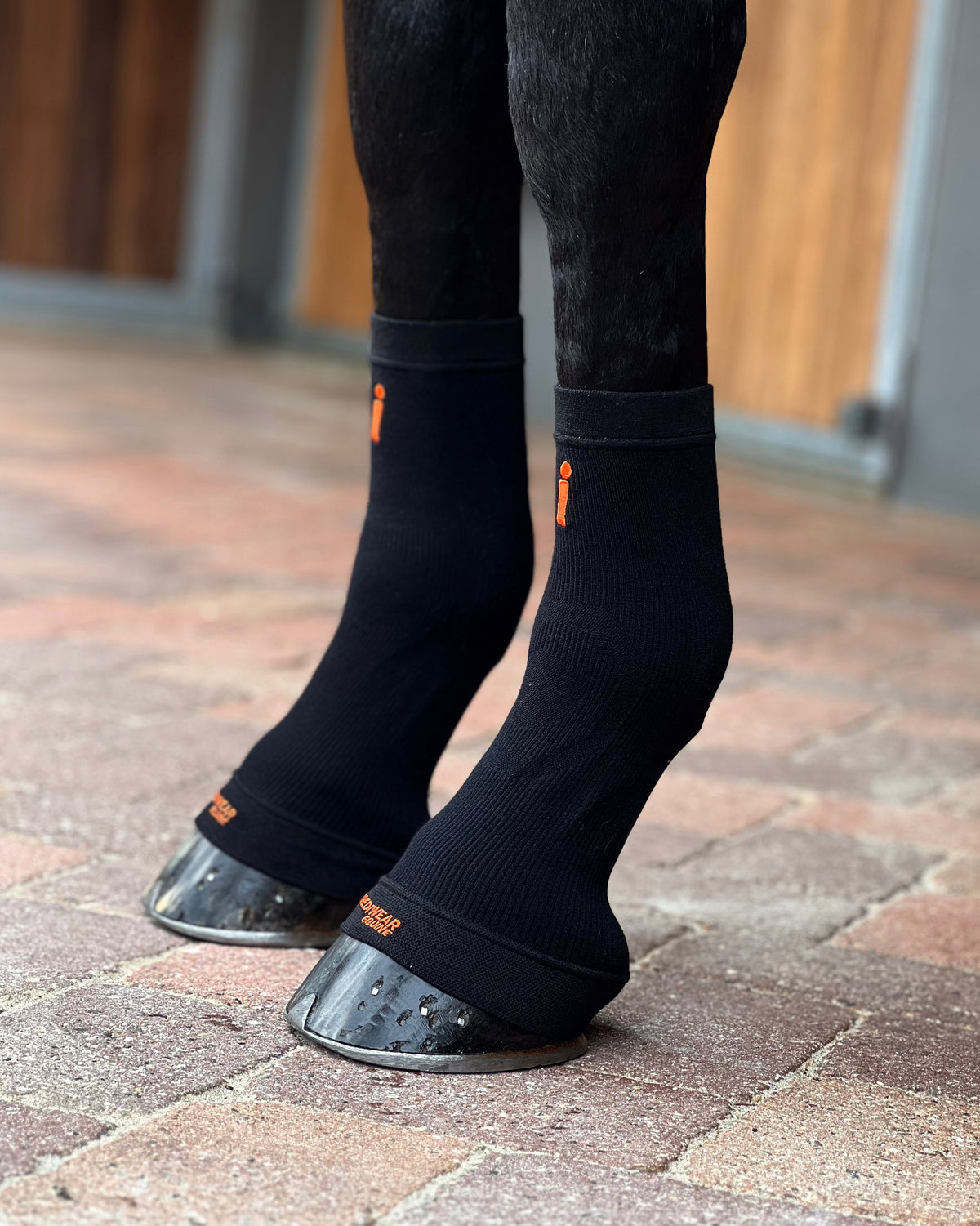 ES101-BLK.jpg
