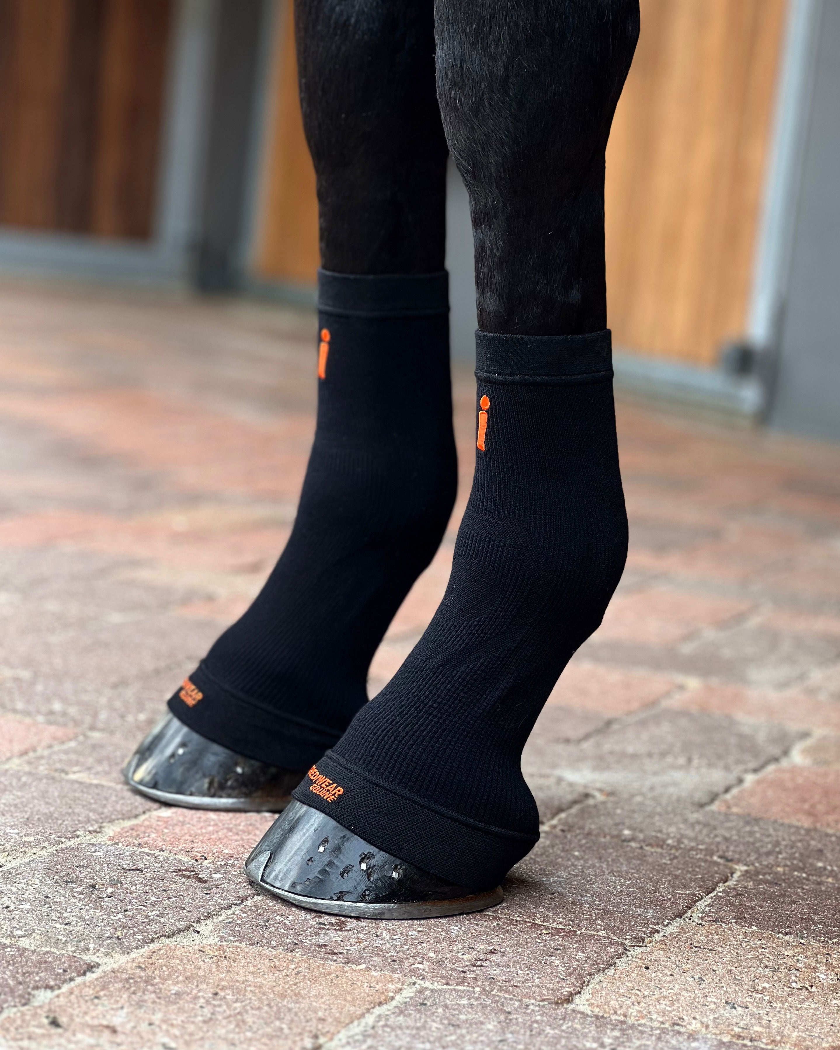 ES101-BLK.jpg