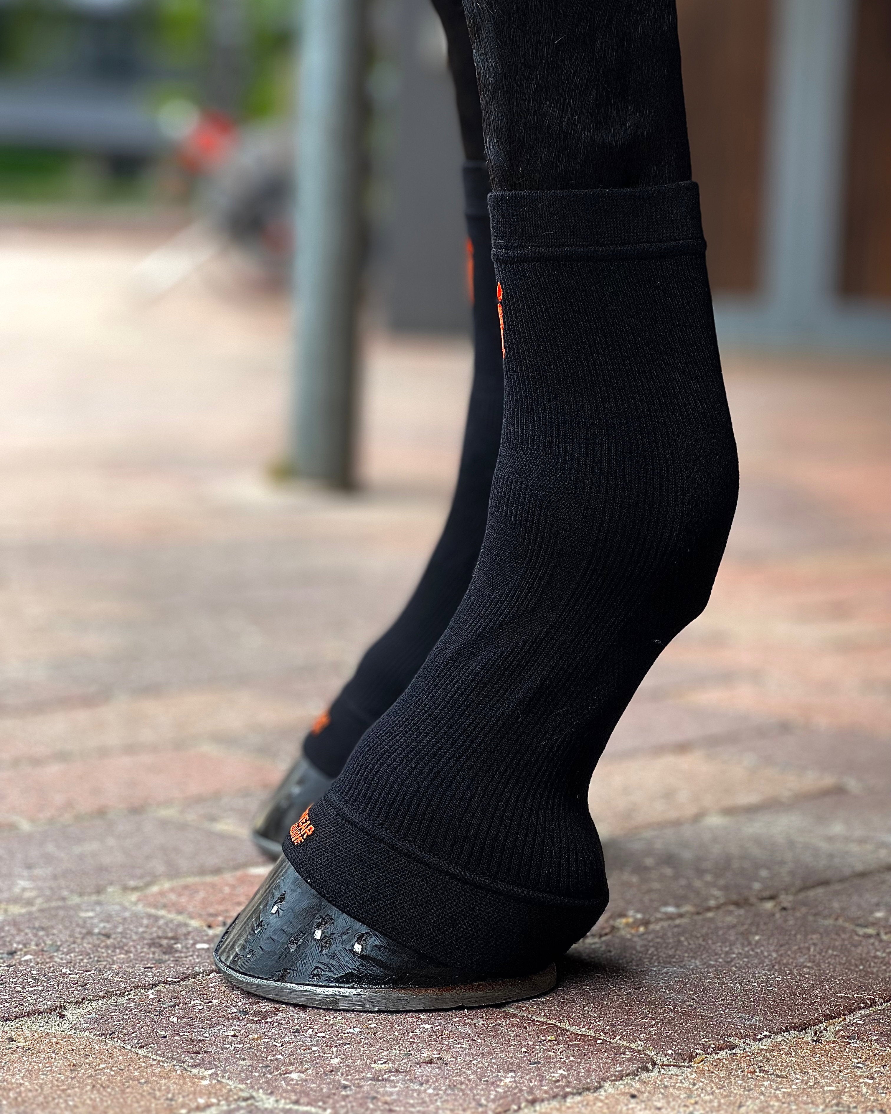 ES101-BLK_2.jpg