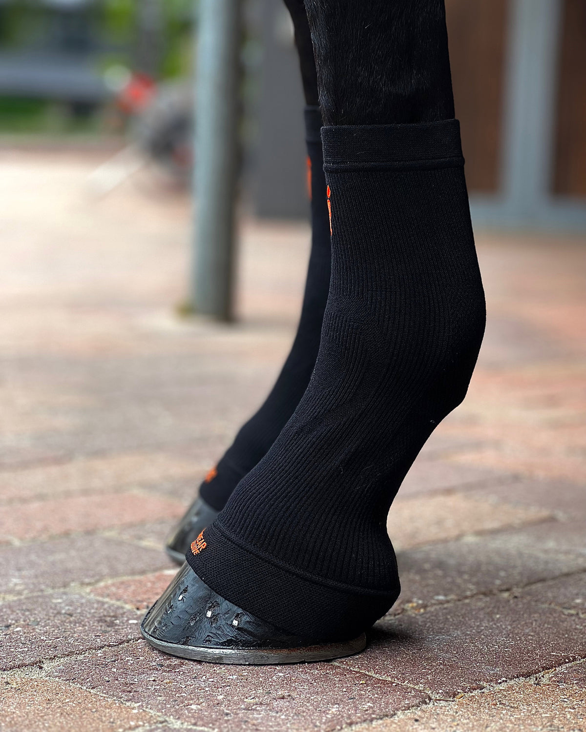 ES101-BLK_2.jpg