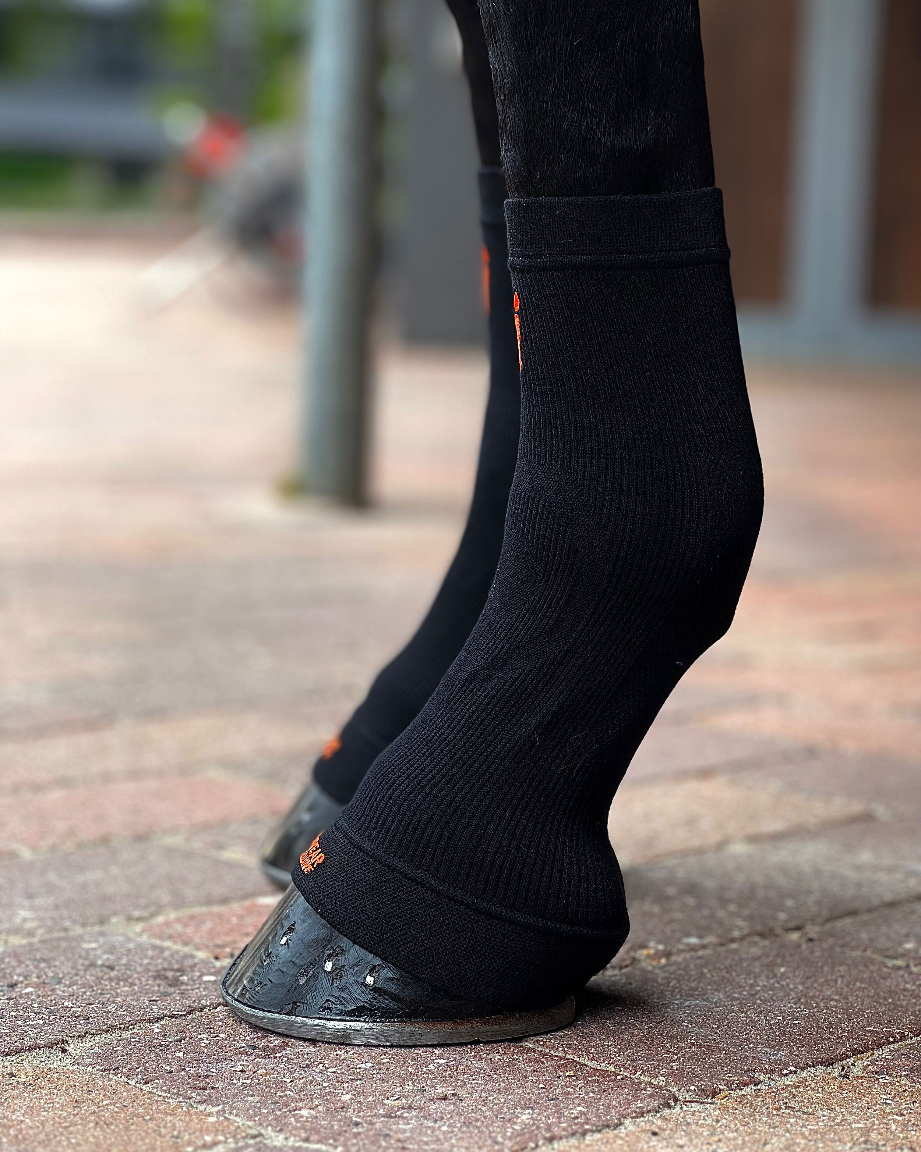 ES101-BLK_2.jpg