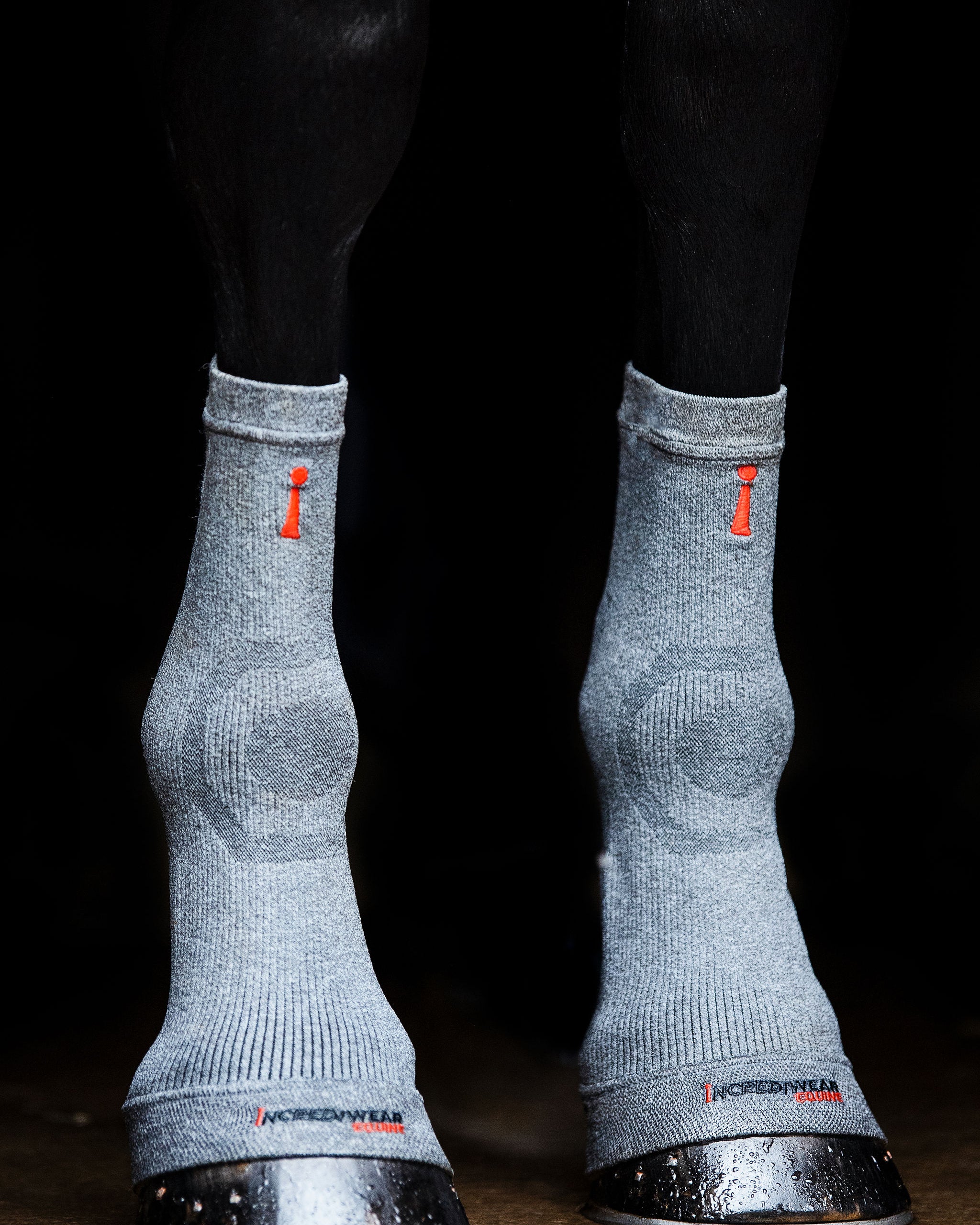 ES101-GREY.jpg