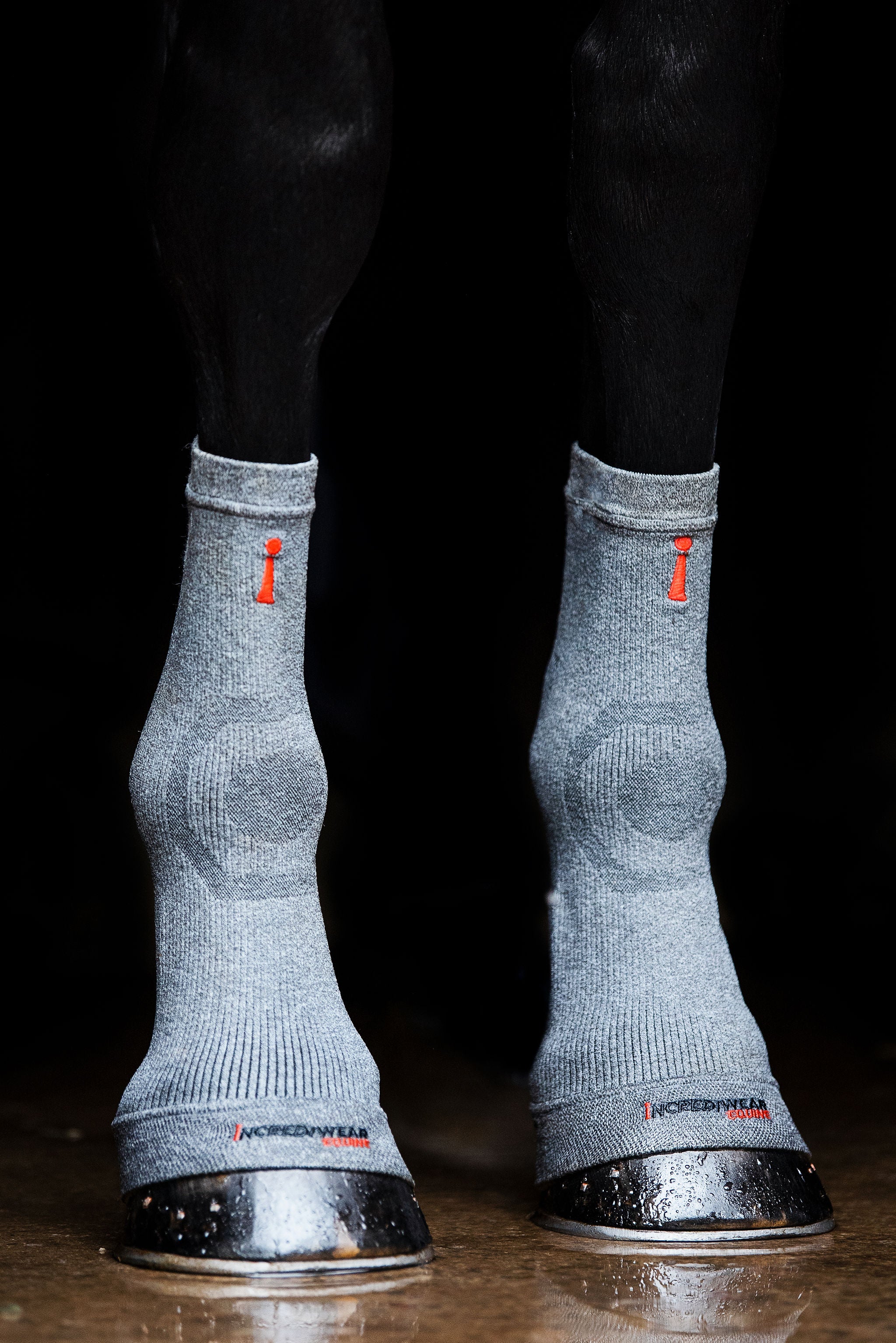 ES101-GREY.jpg
