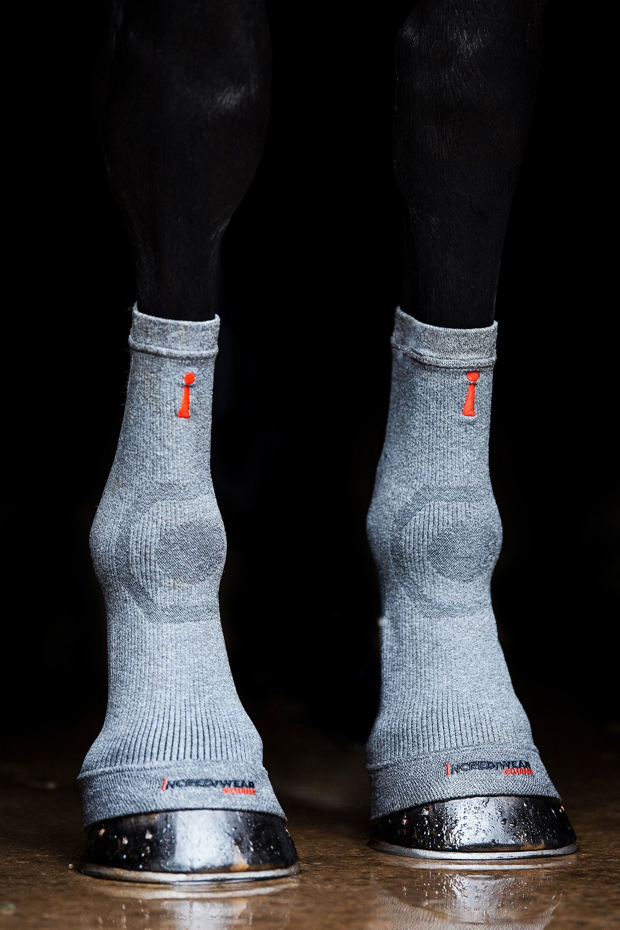 ES101-GREY.jpg