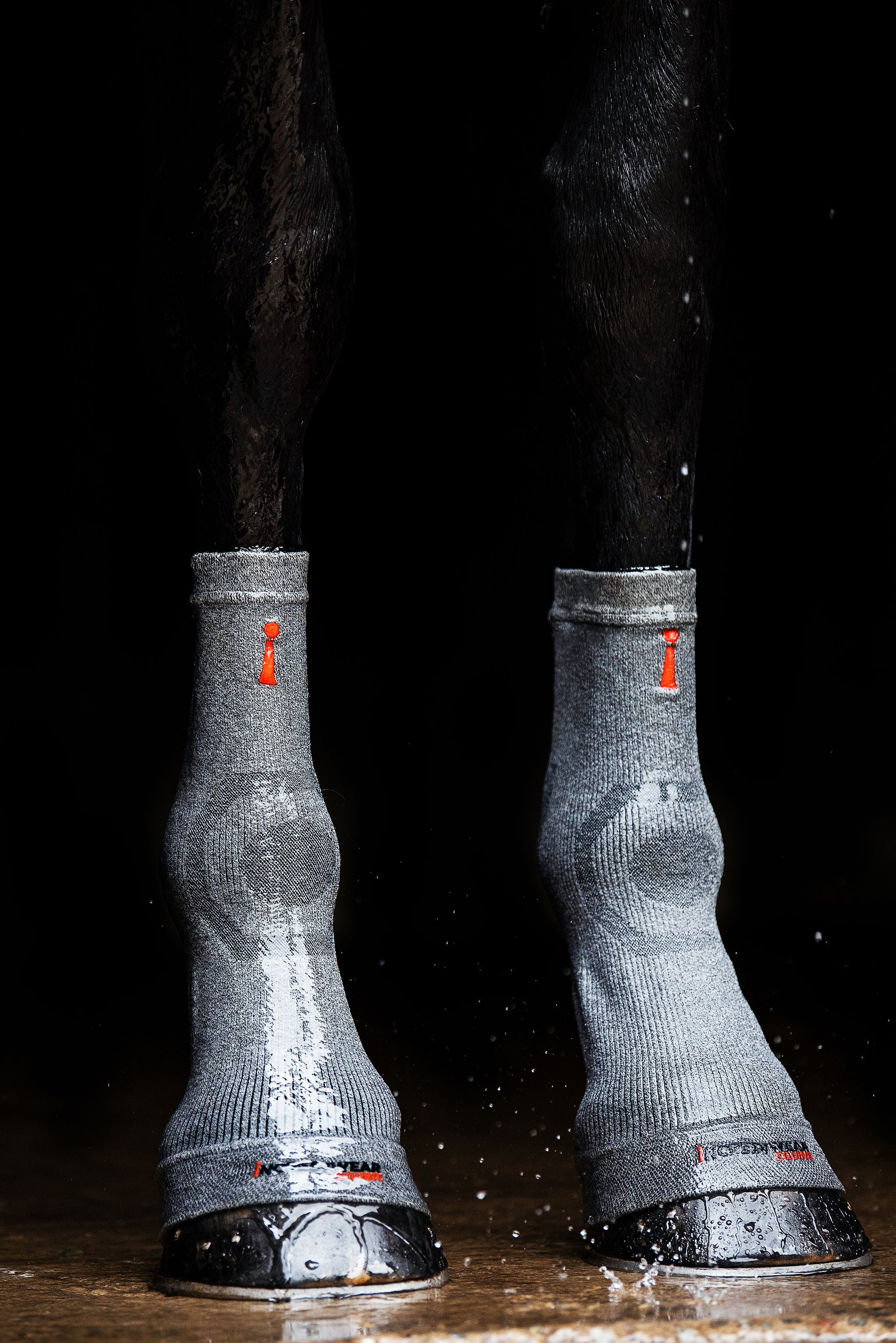 ES101-GREY_1.jpg