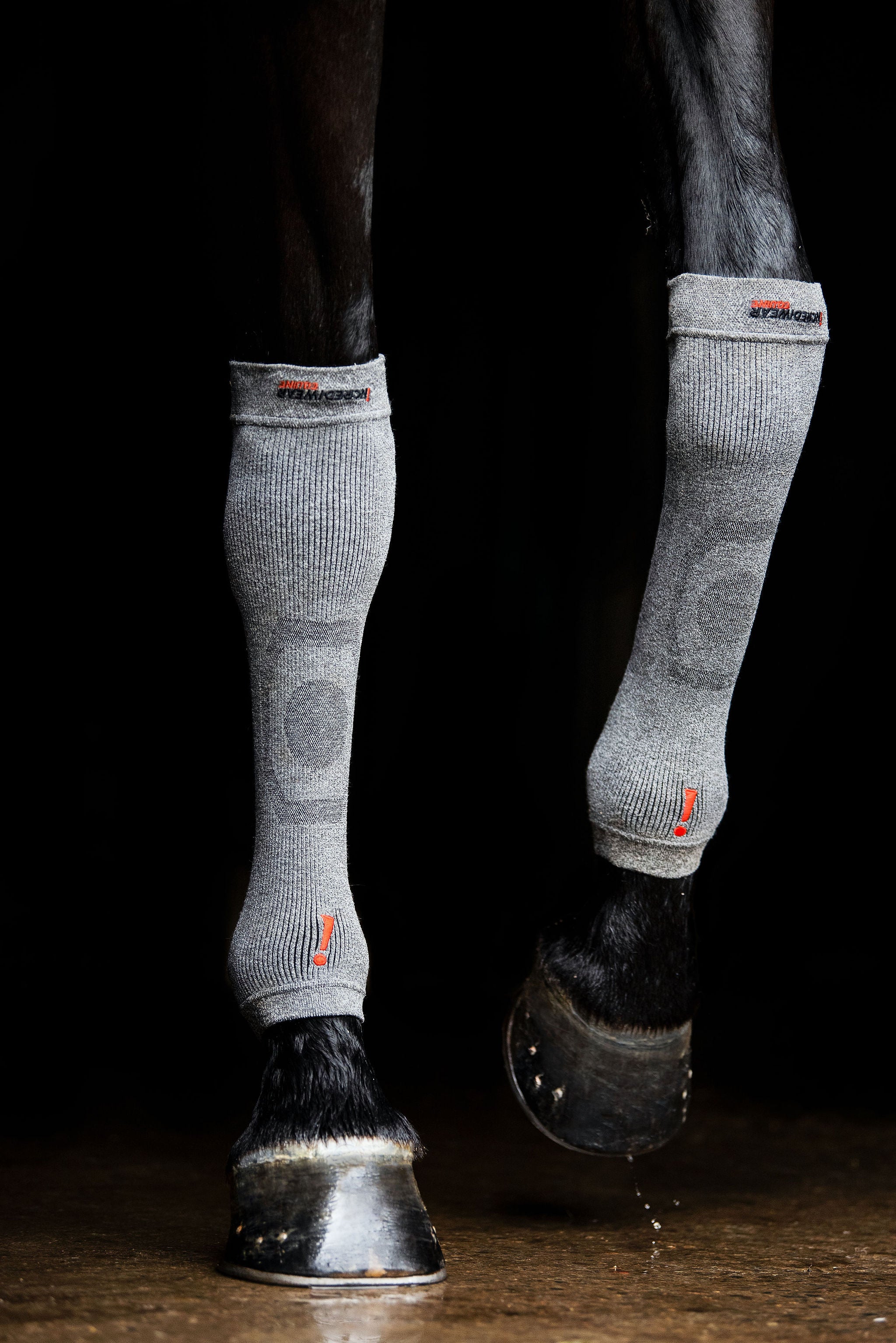ES101-GREY_5.jpg