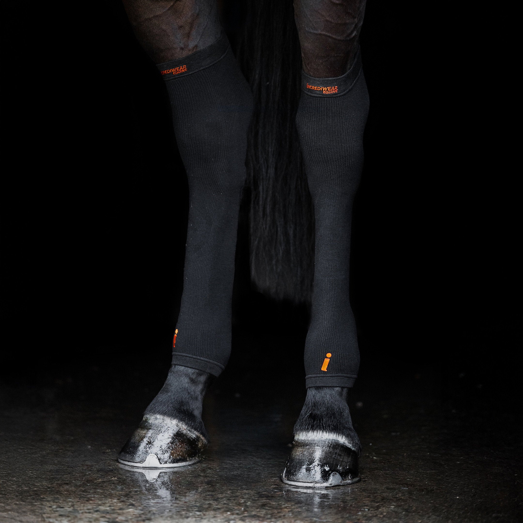 HC01BK-BLACK_1.jpg