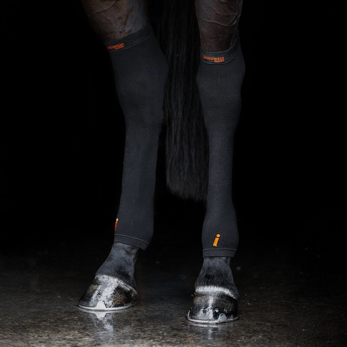 HC01BK-BLACK_1.jpg
