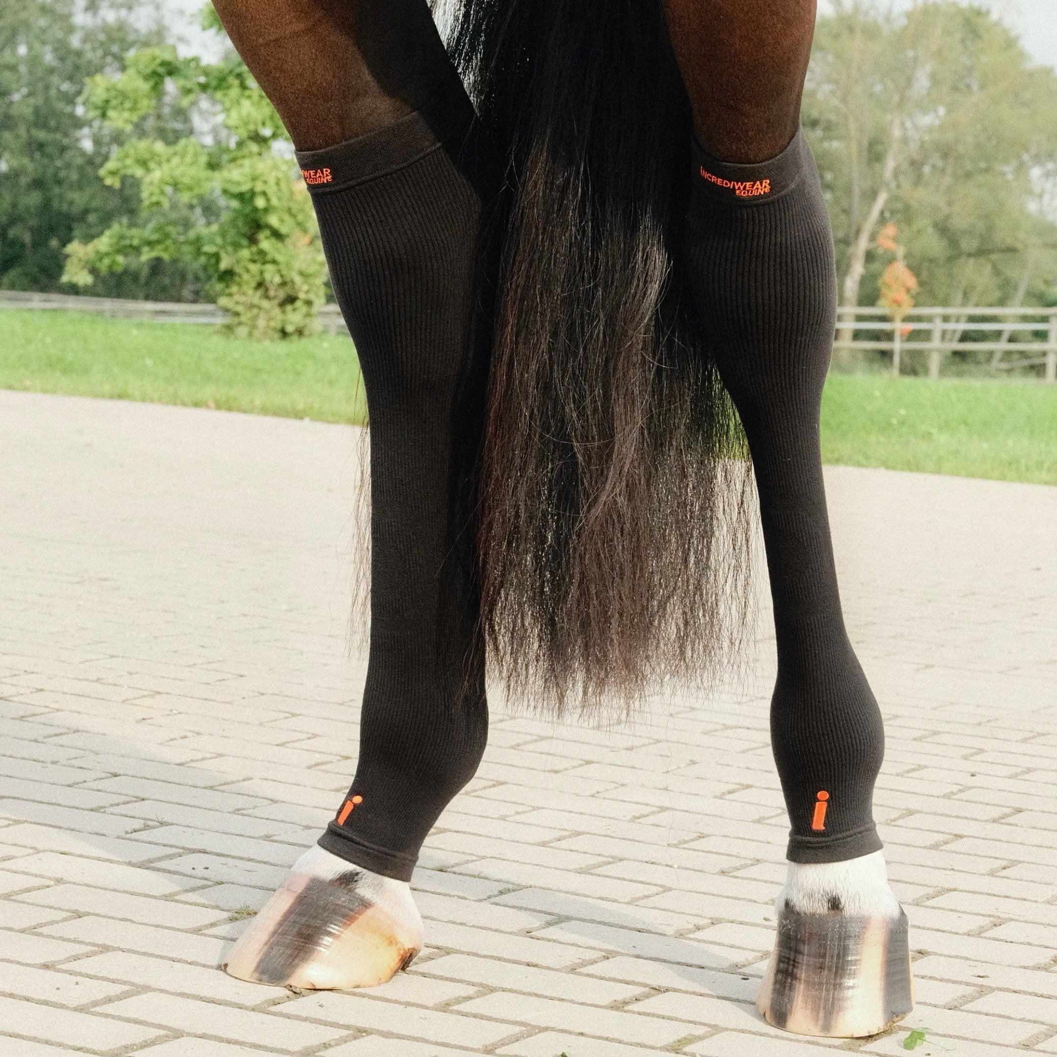HC01BK-BLACK_3.jpg