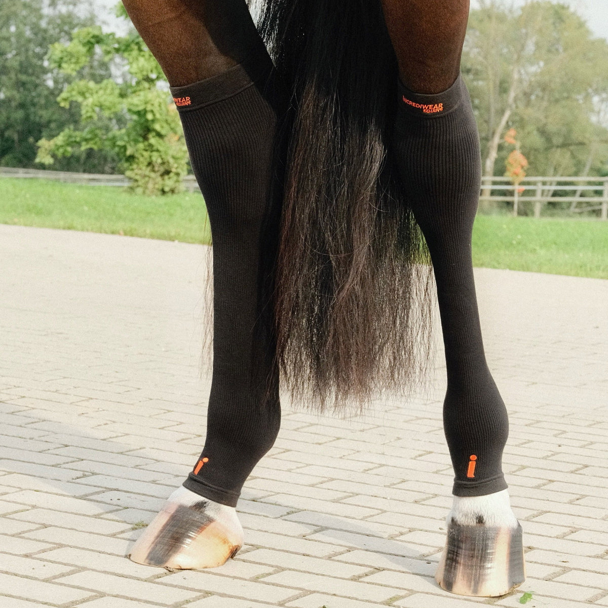 HC01BK-BLACK_3.jpg
