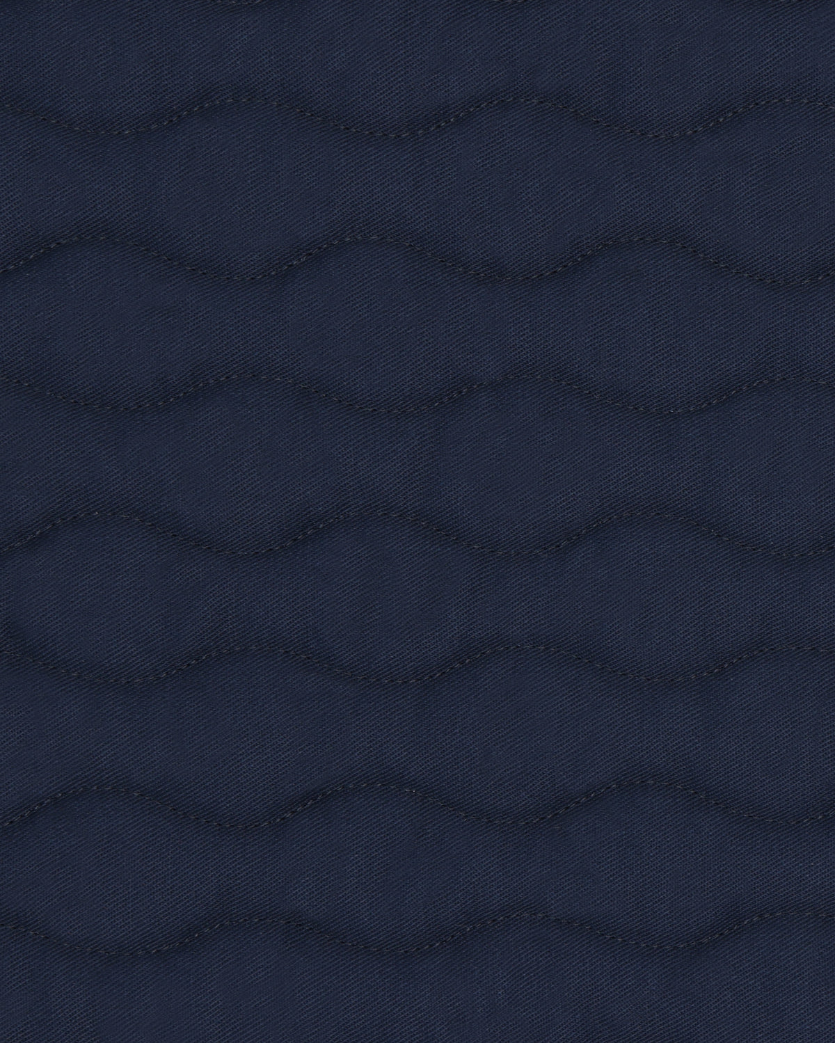 PAHD24_CO-NAVY_2.jpg