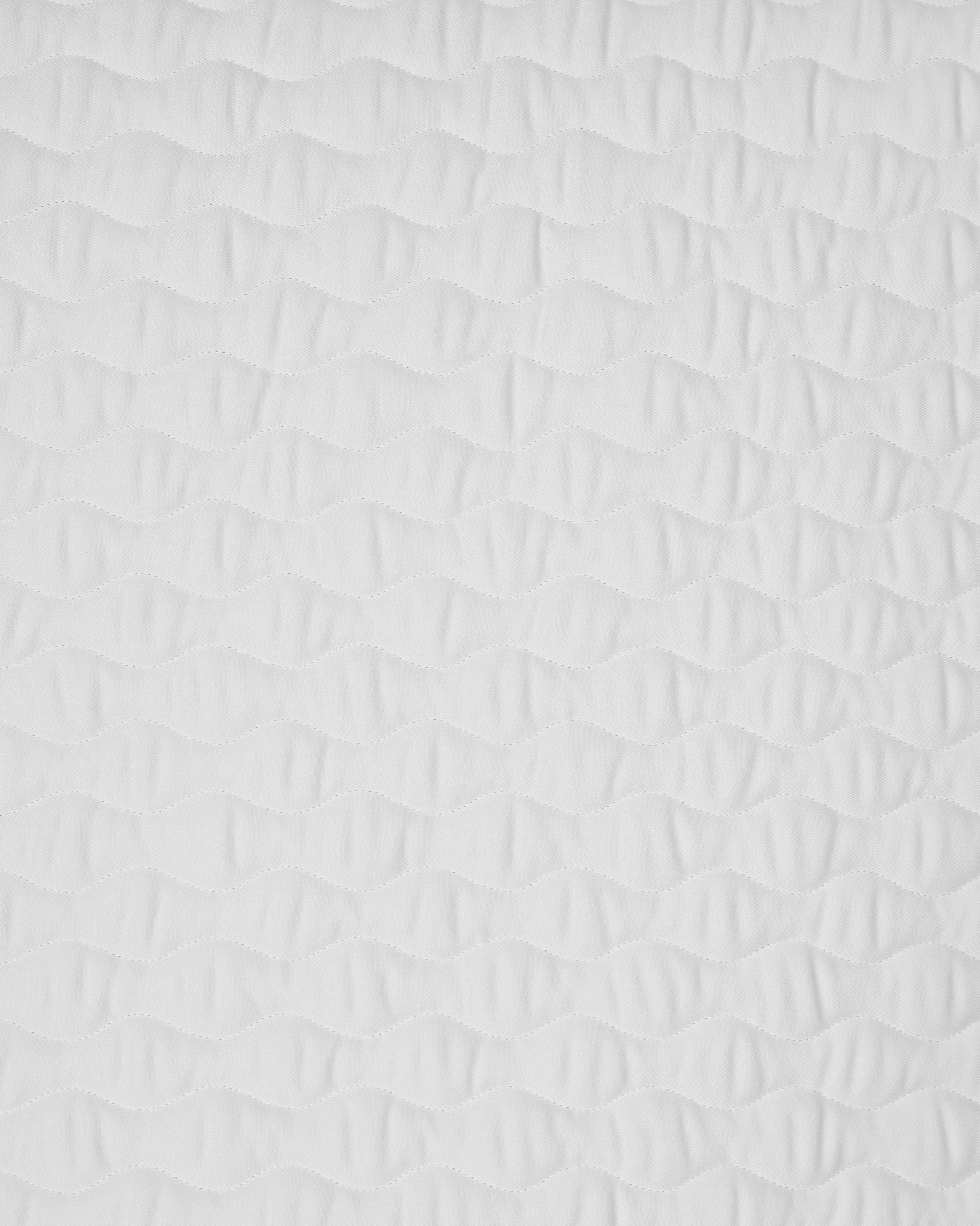 PAHD24_CO-WHITE_2.jpg