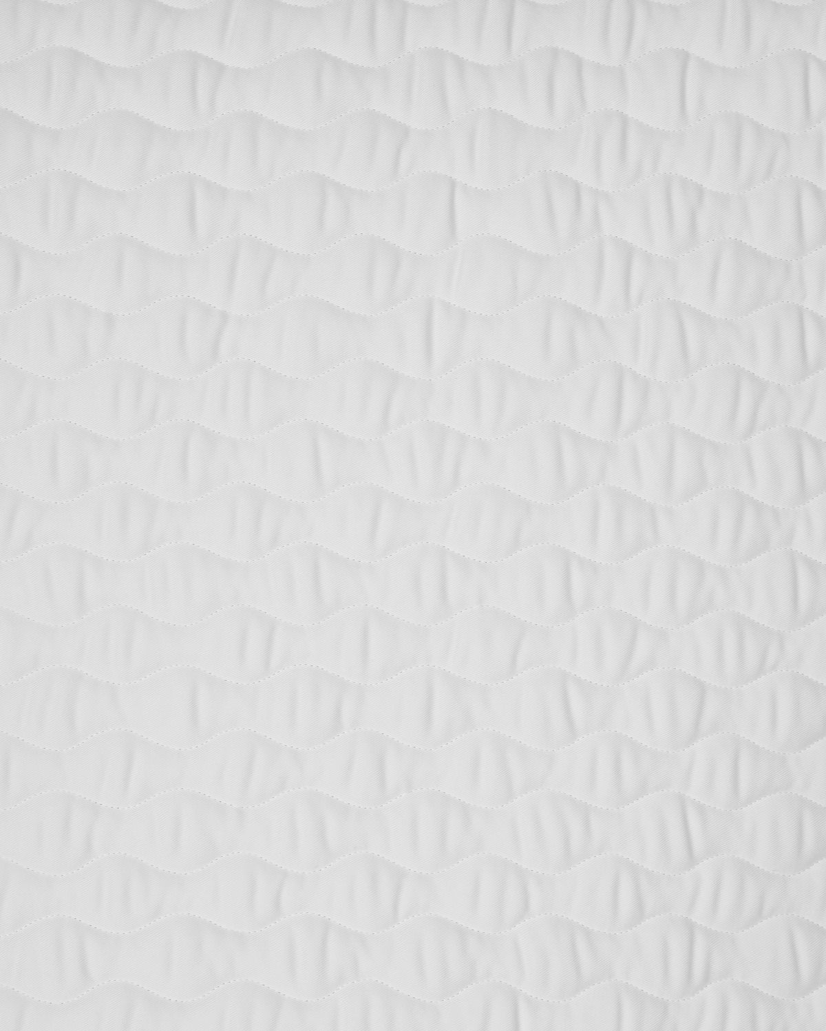 PAHD24_CO-WHITE_2.jpg
