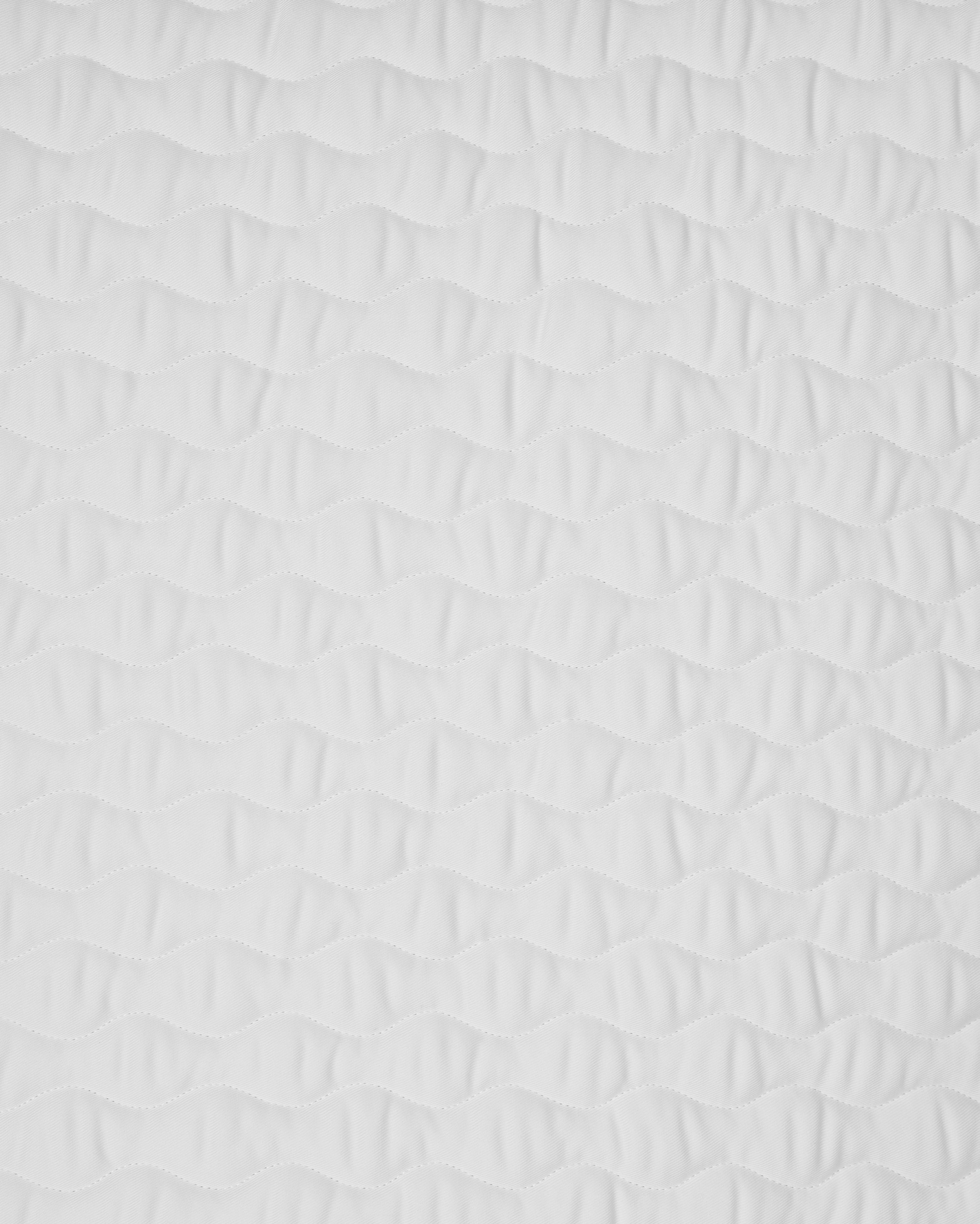 PAHD24_CO-WHITE_2.jpg