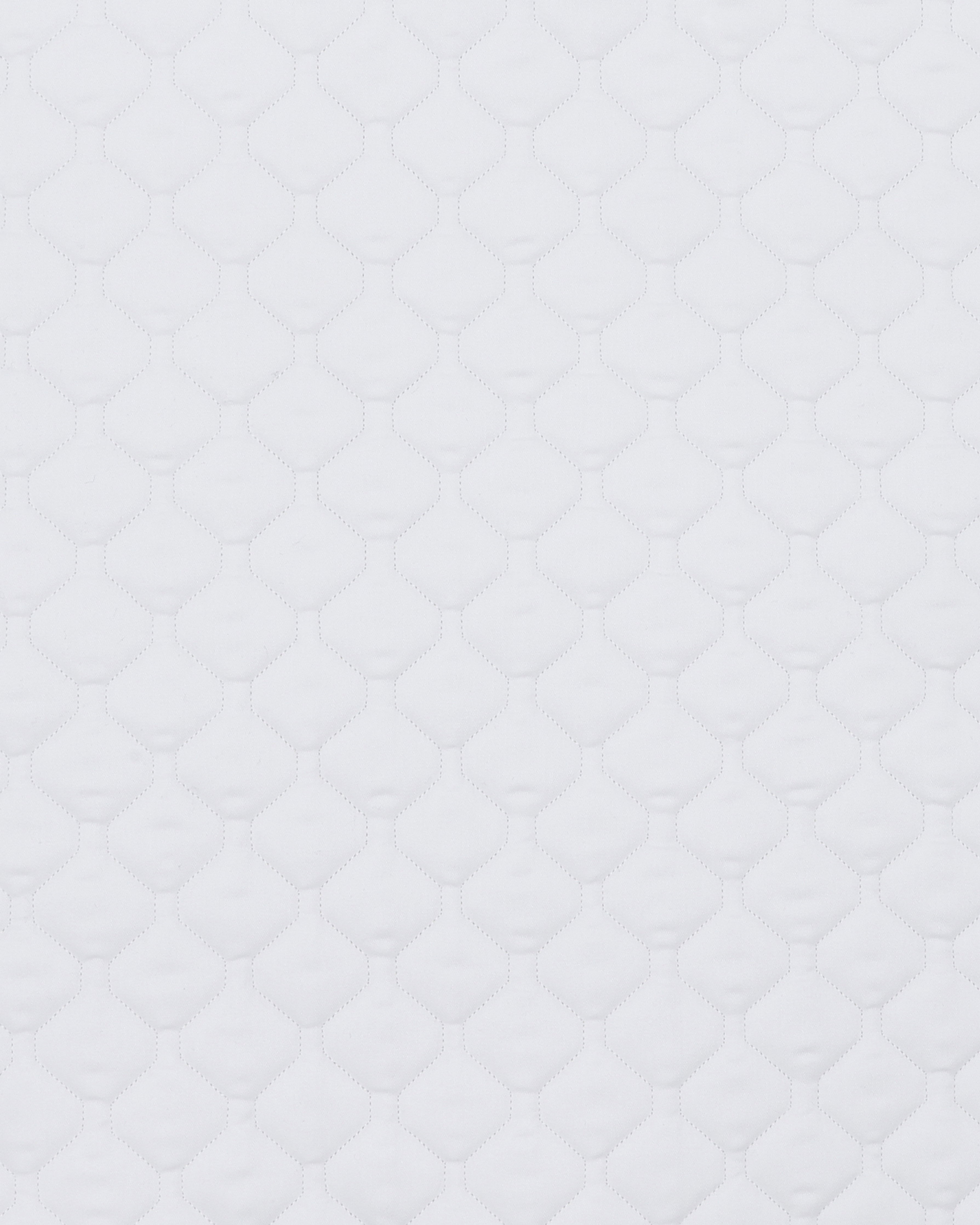 PAHD26_CO-WHITE_1.jpg