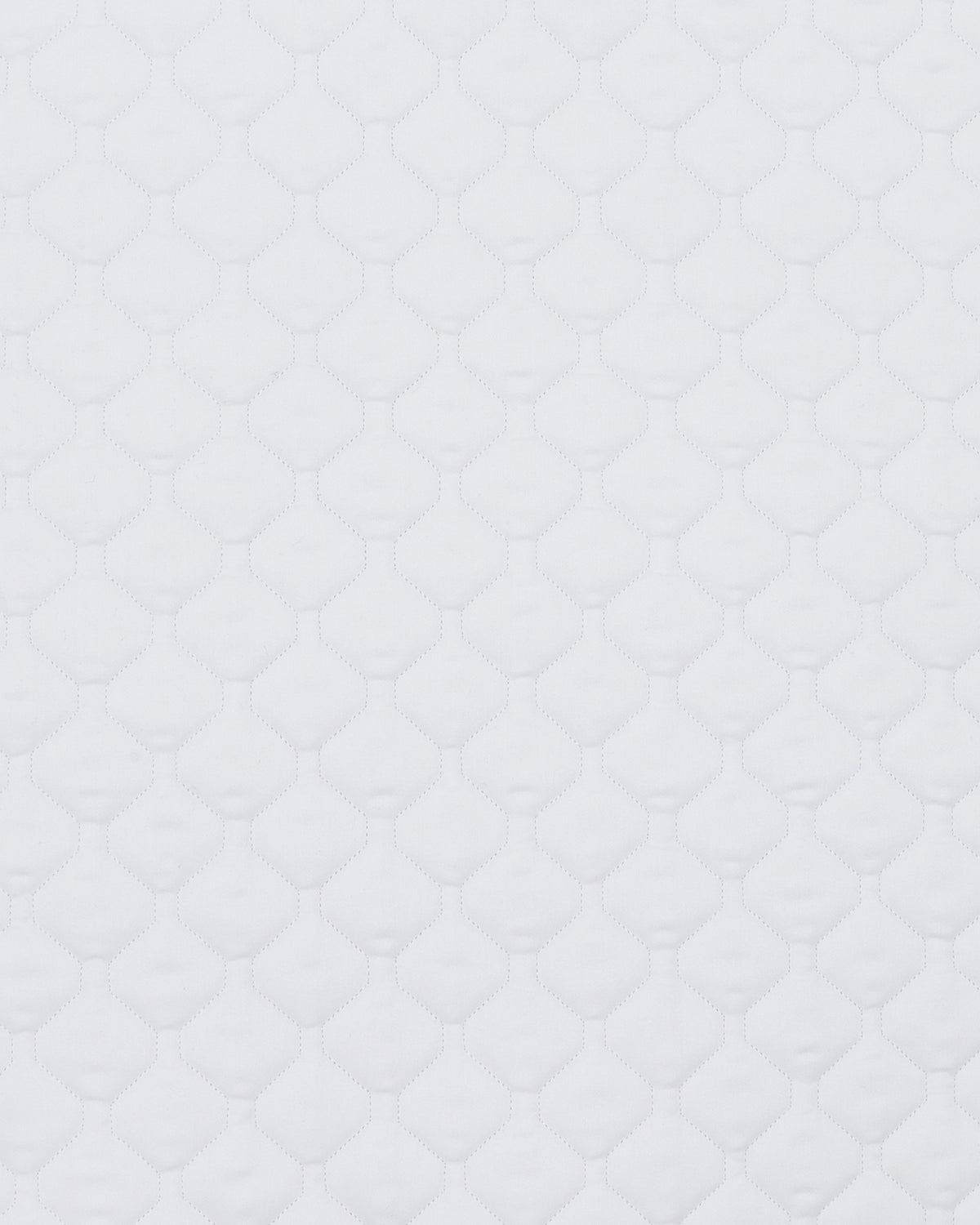 PAHD26_CO-WHITE_1.jpg