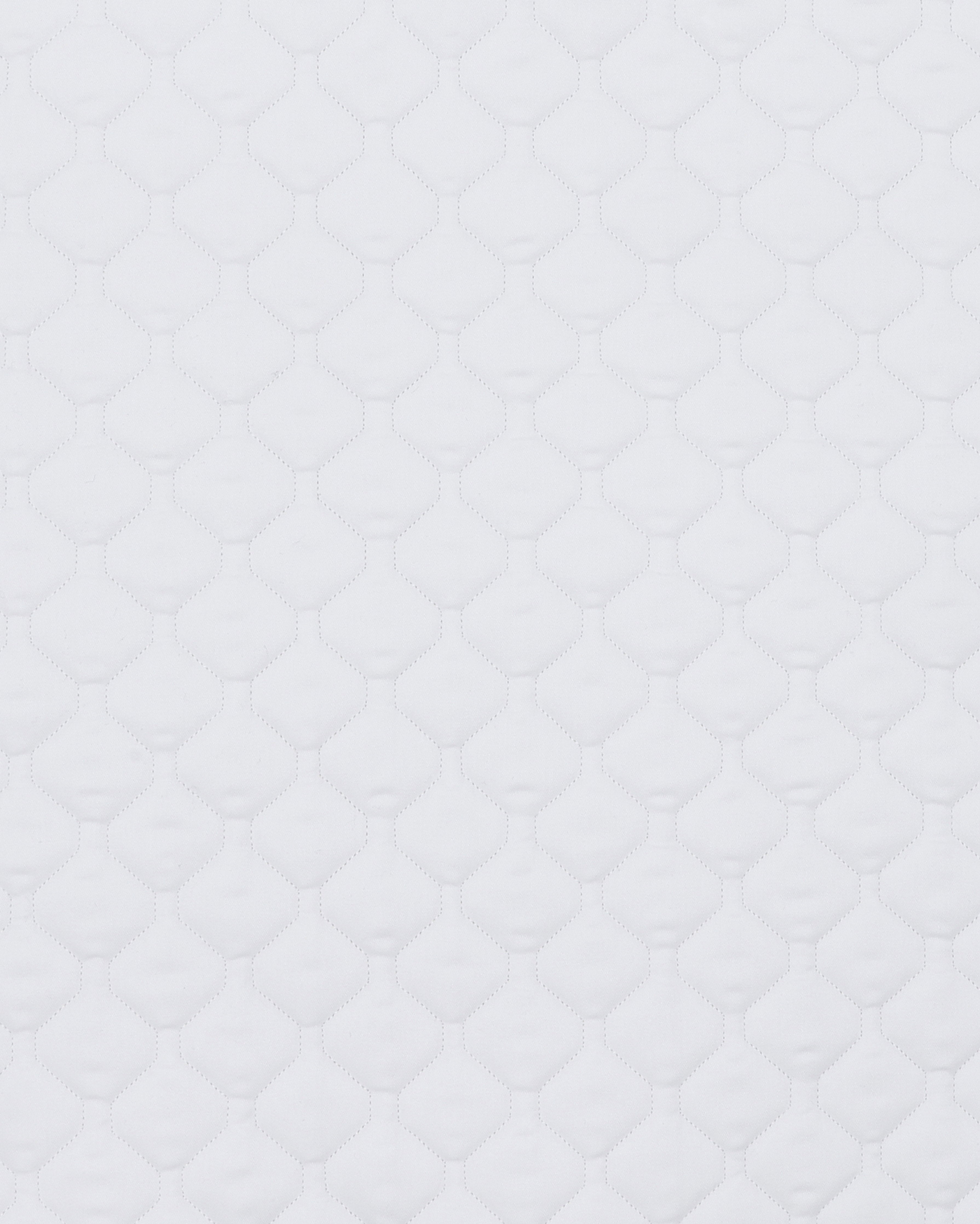 PAHD26_CO-WHITE_1.jpg