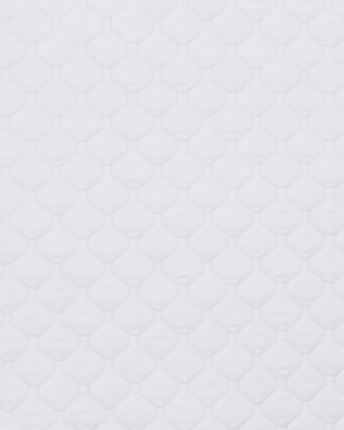 PAHD26_CO-WHITE_1.jpg