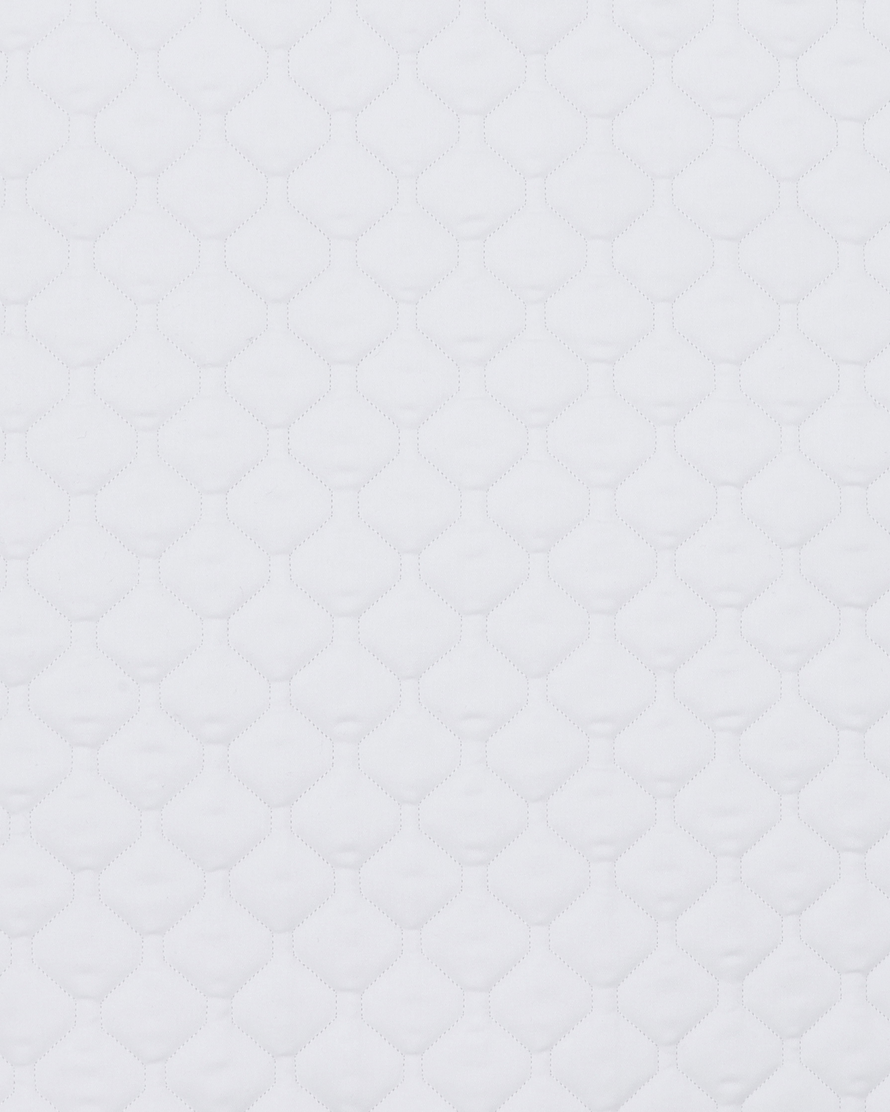 PAHD26_CO-WHITE_1.jpg