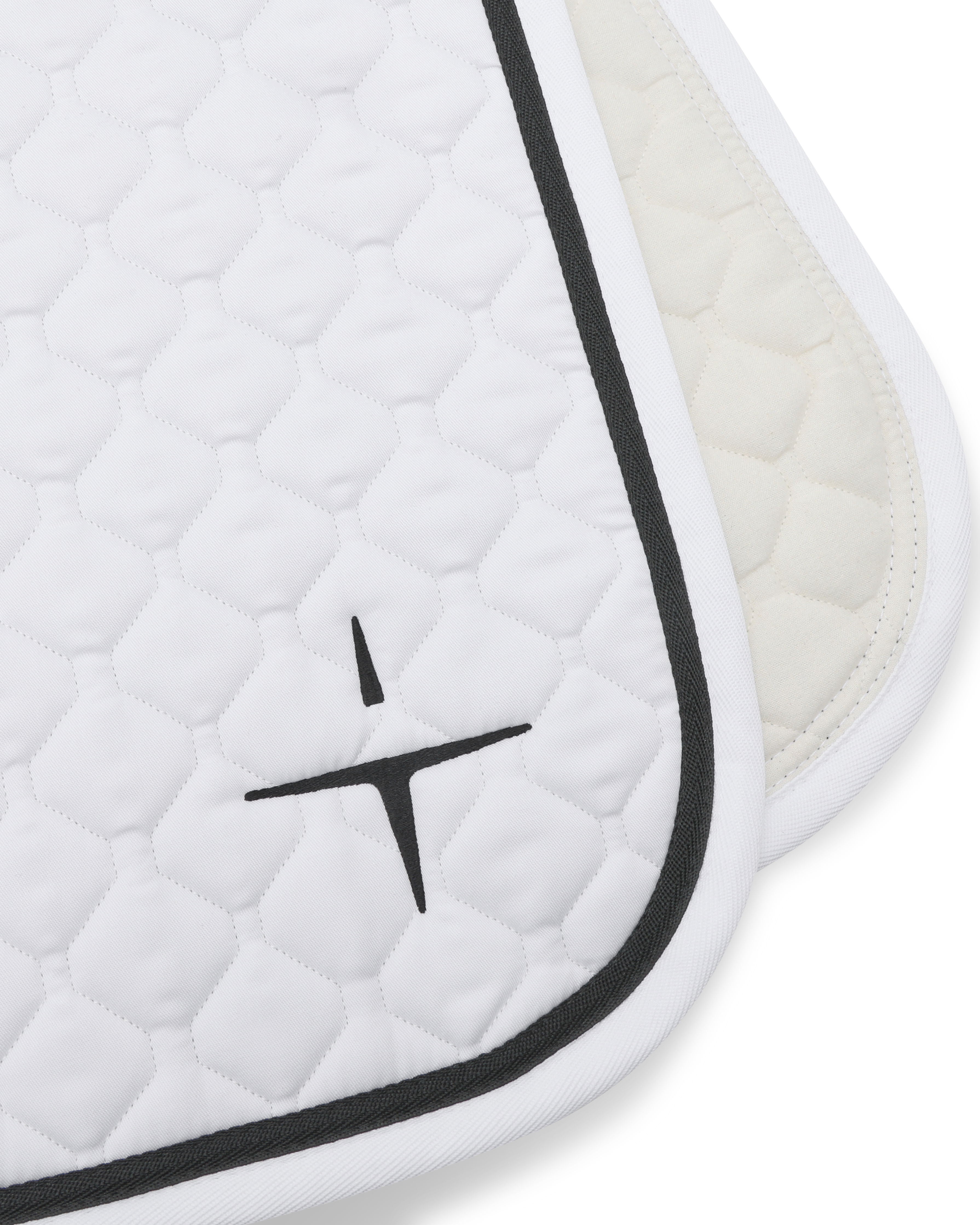 PAHD26_CO-WHITE_2.jpg