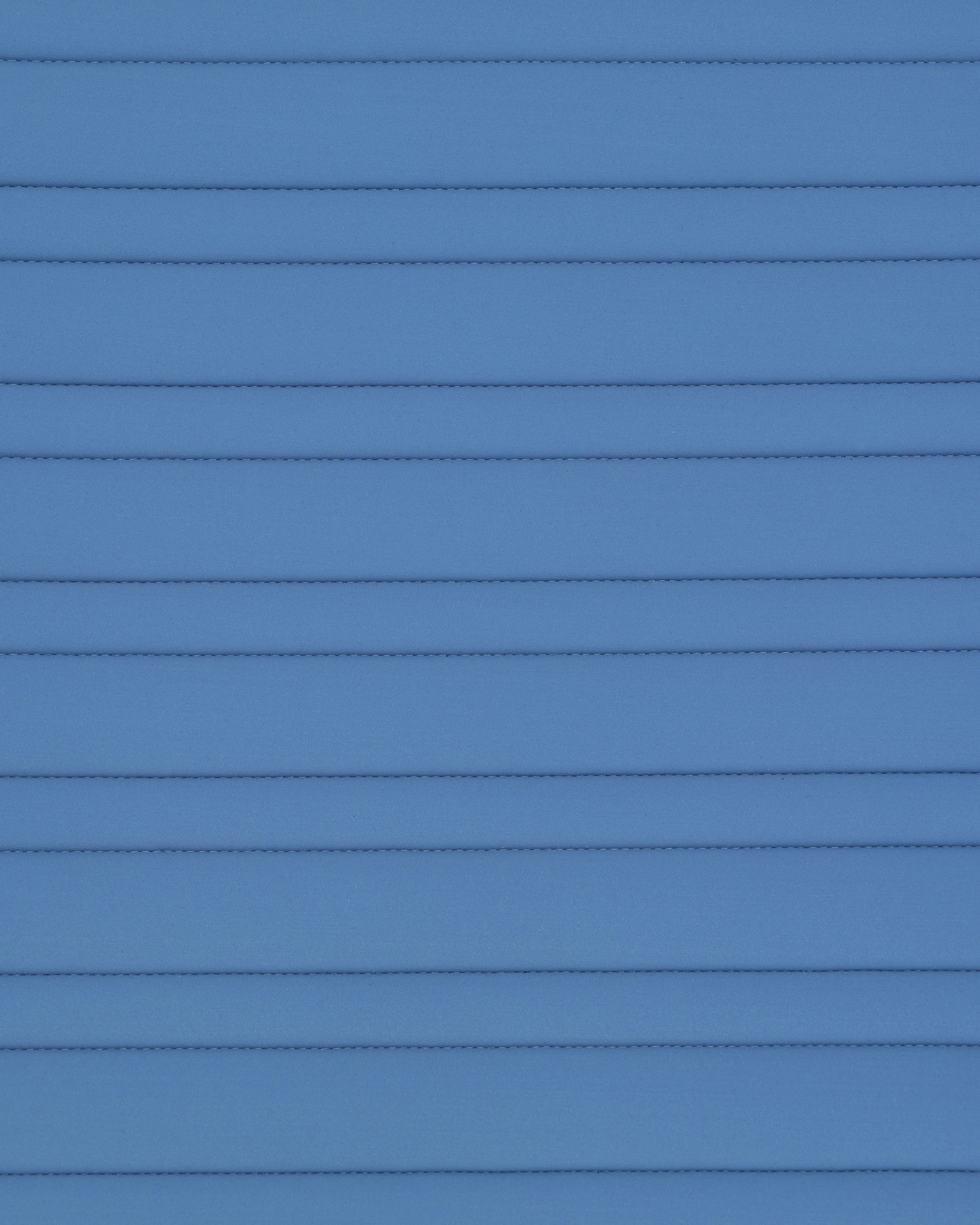 PAHD29_JE-BLUEFOG_2.jpg