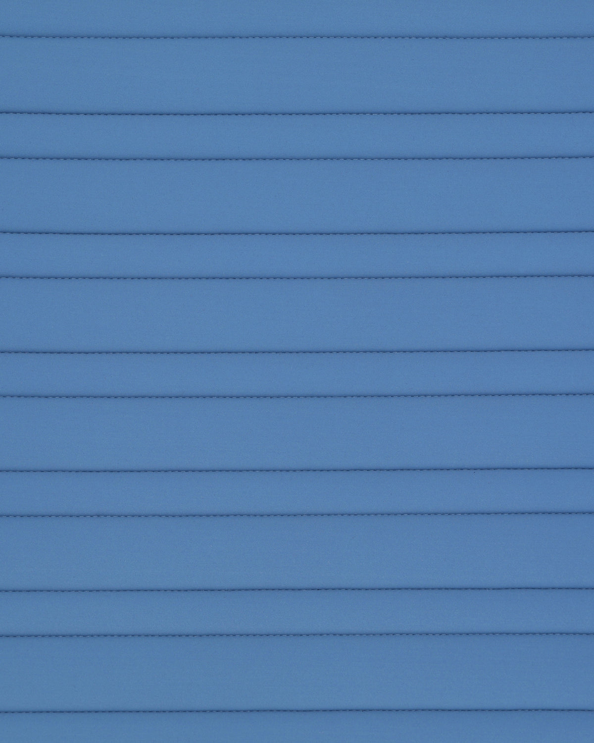 PAHD29_JE-BLUEFOG_2.jpg