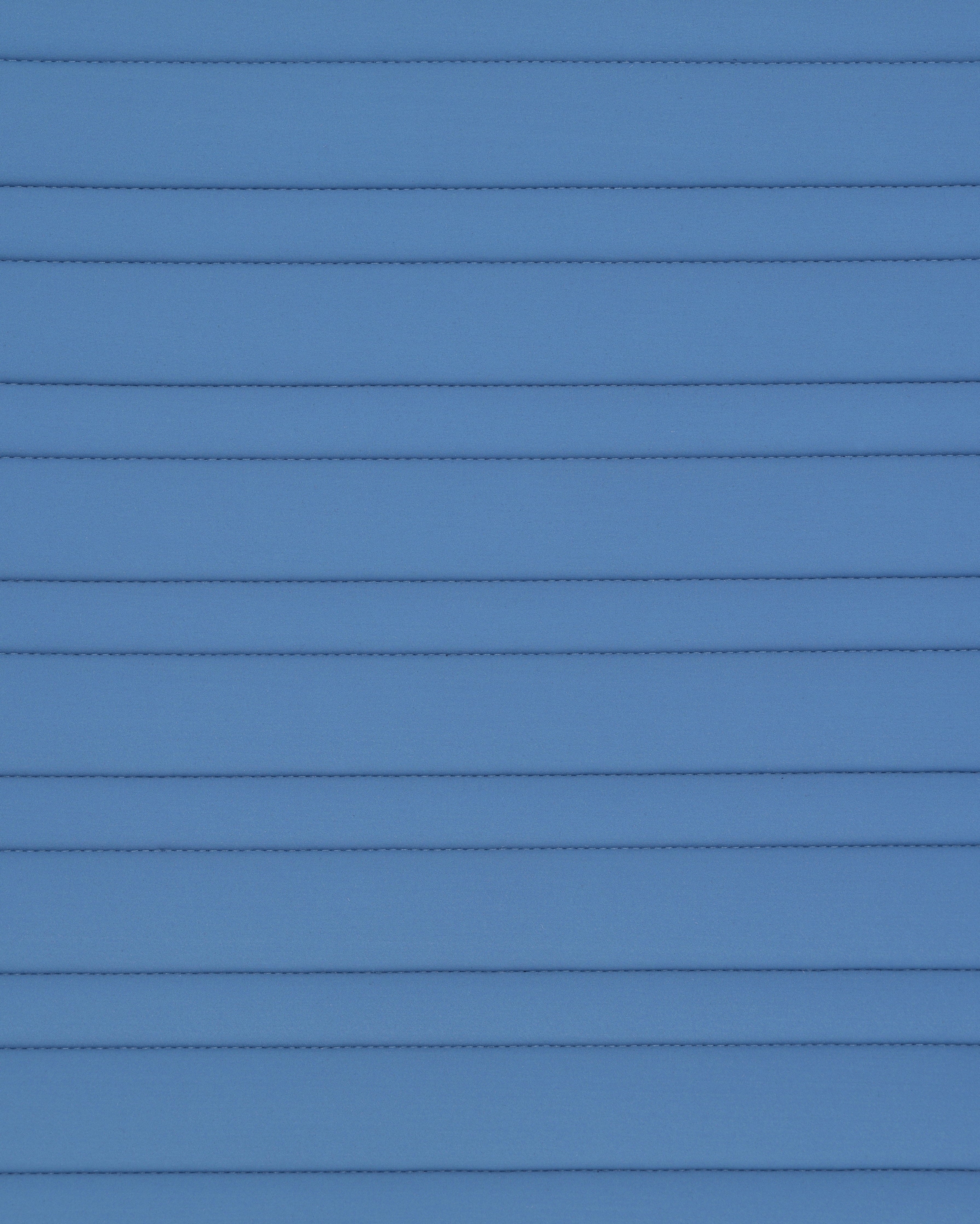 PAHD29_JE-BLUEFOG_2.jpg