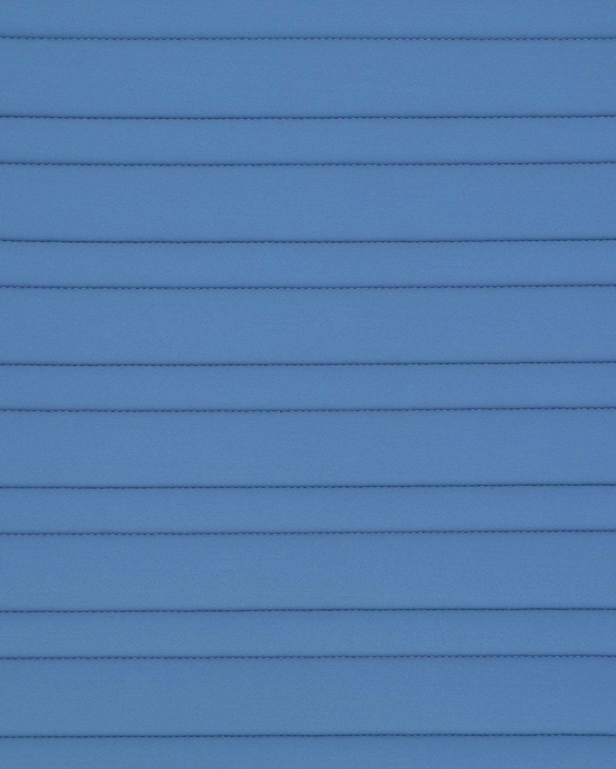 PAHD29_JE-BLUEFOG_2.jpg