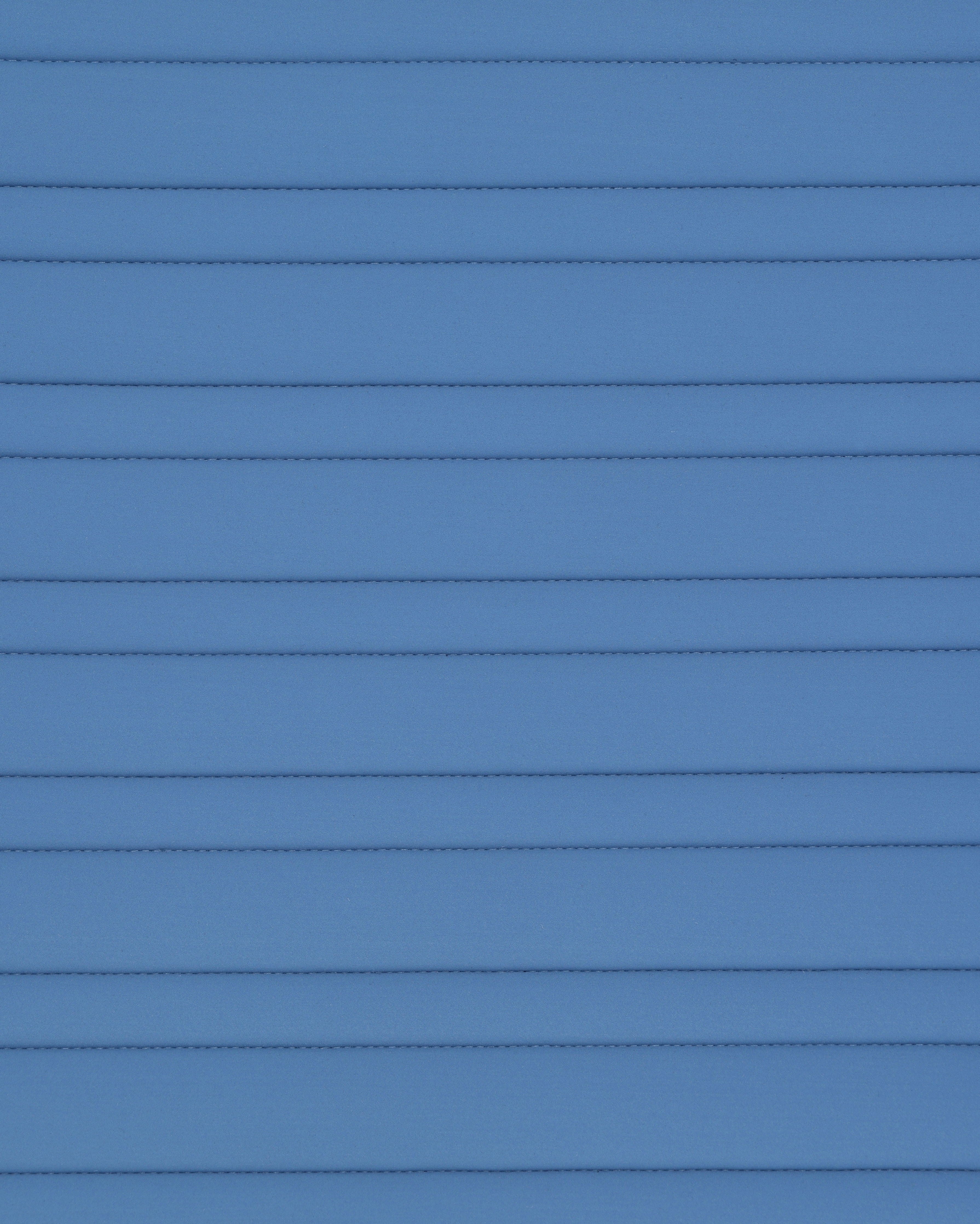 PAHD29_JE-BLUEFOG_2.jpg