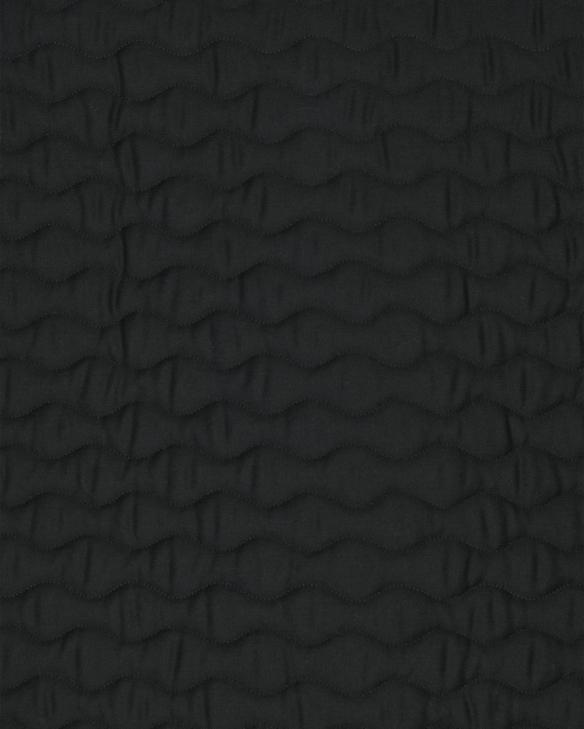 PAHJ24_CO-BLACK_2.jpg