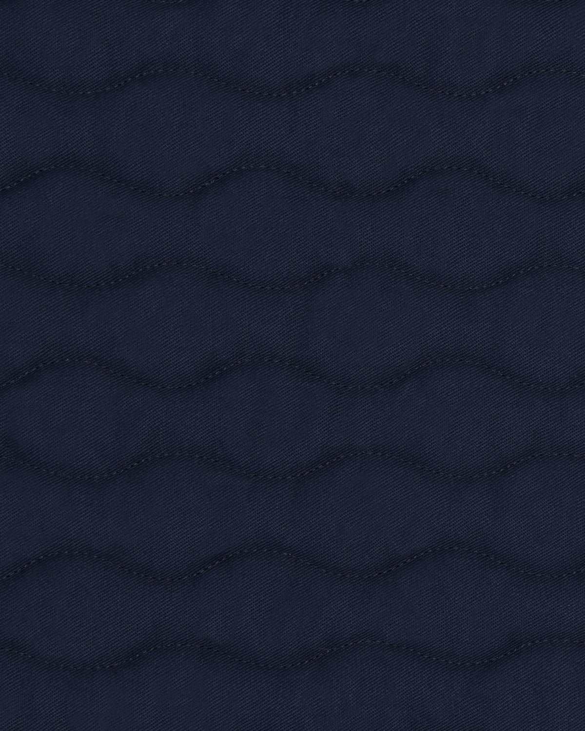 PAHJ24_CO-NAVY_2.jpg