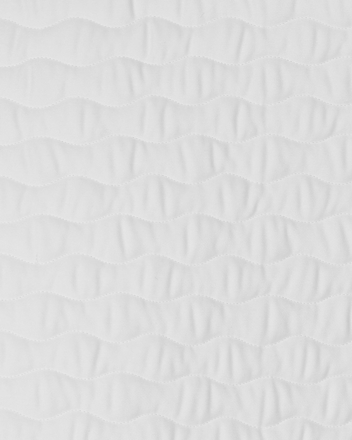 PAHJ24_CO-WHITE_2.jpg