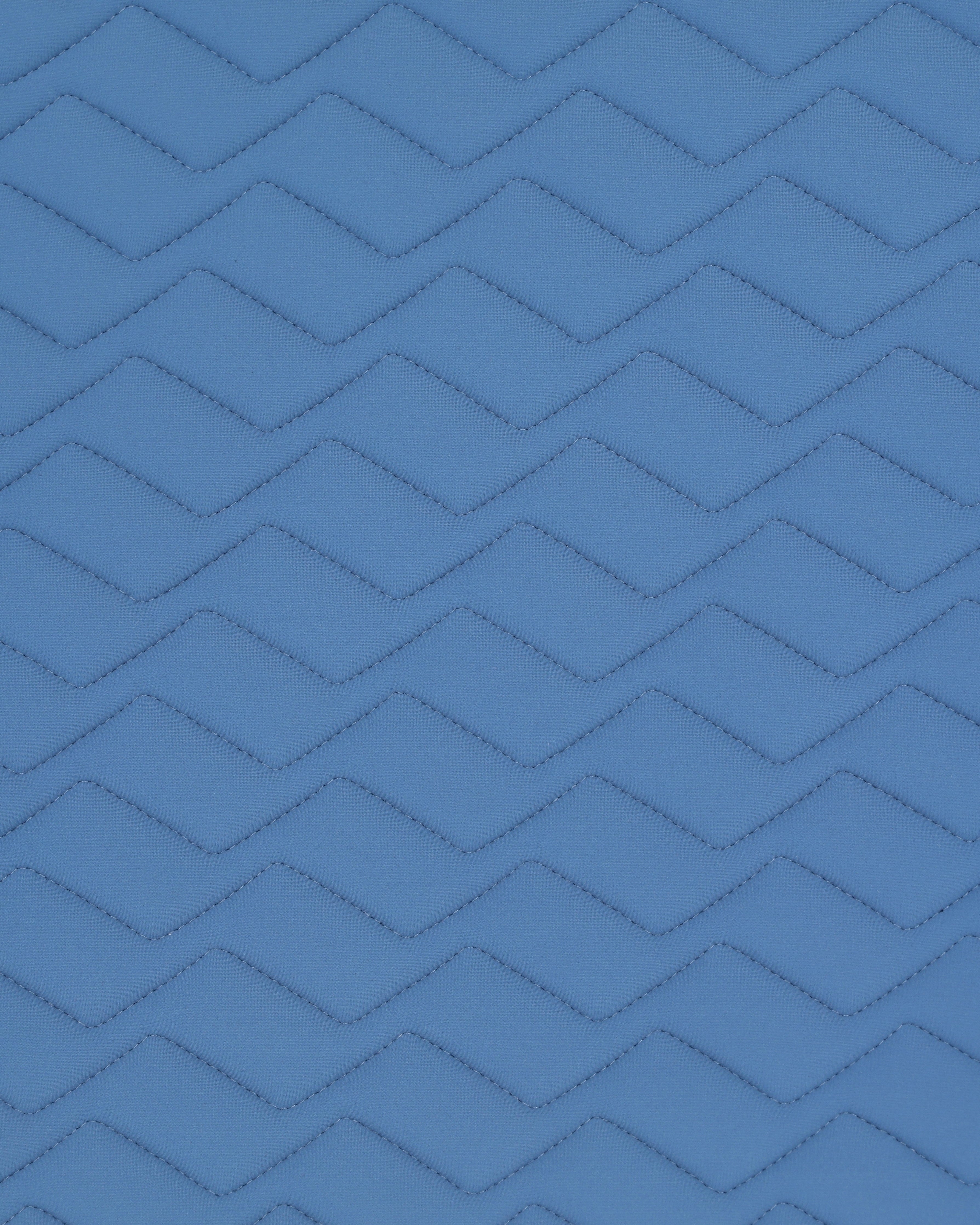 PAHJ28_JE-BLUEFOG_2.jpg