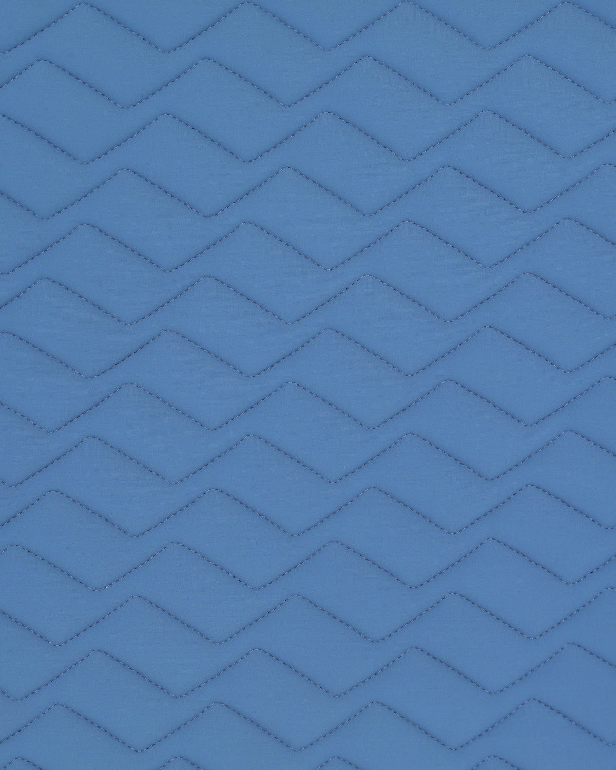 PAHJ28_JE-BLUEFOG_2.jpg