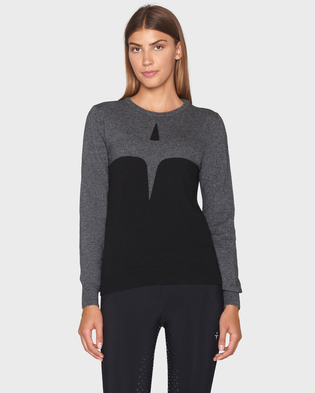 Model image — Cashmere & Wool star logo crew sweater - Earth Grey