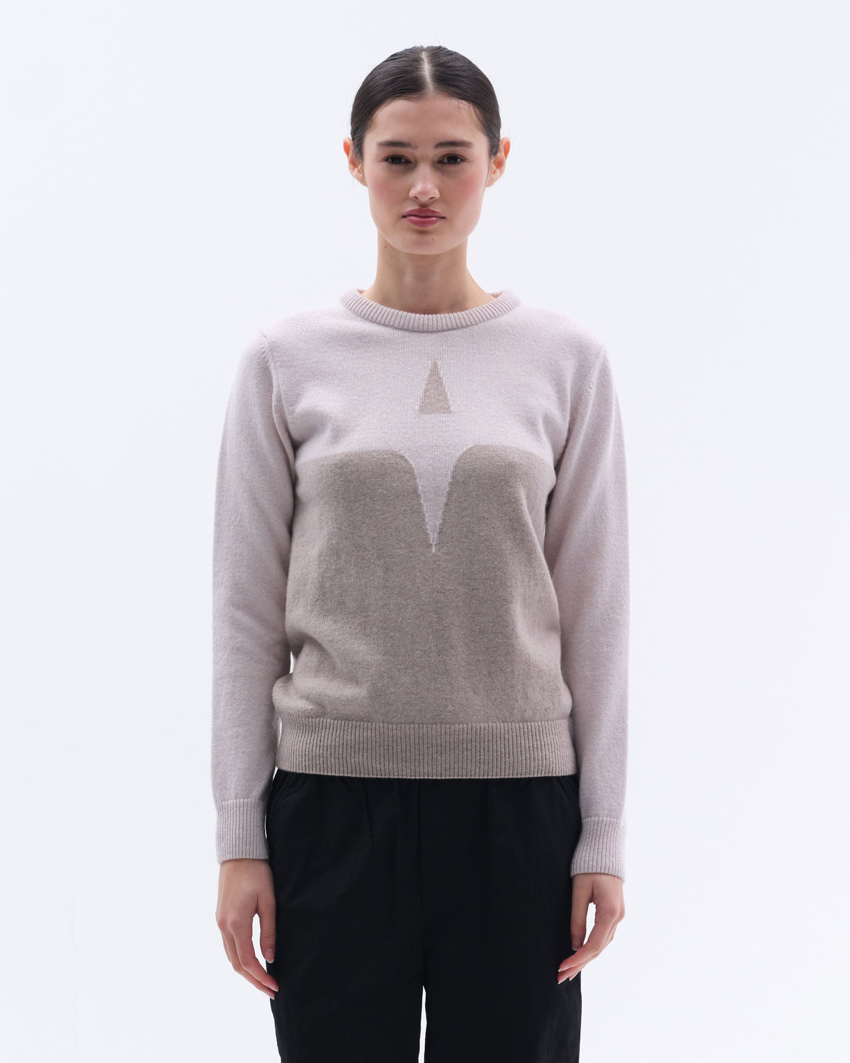 Model image — Cashmere & Wool star logo crew sweater - Black/Dark Grey